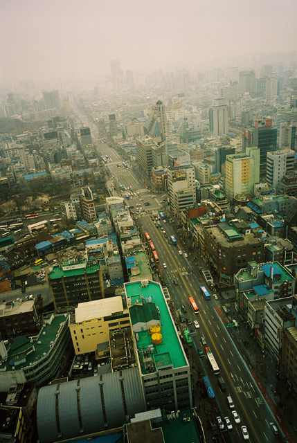 <b>(c)野村恵子</b>