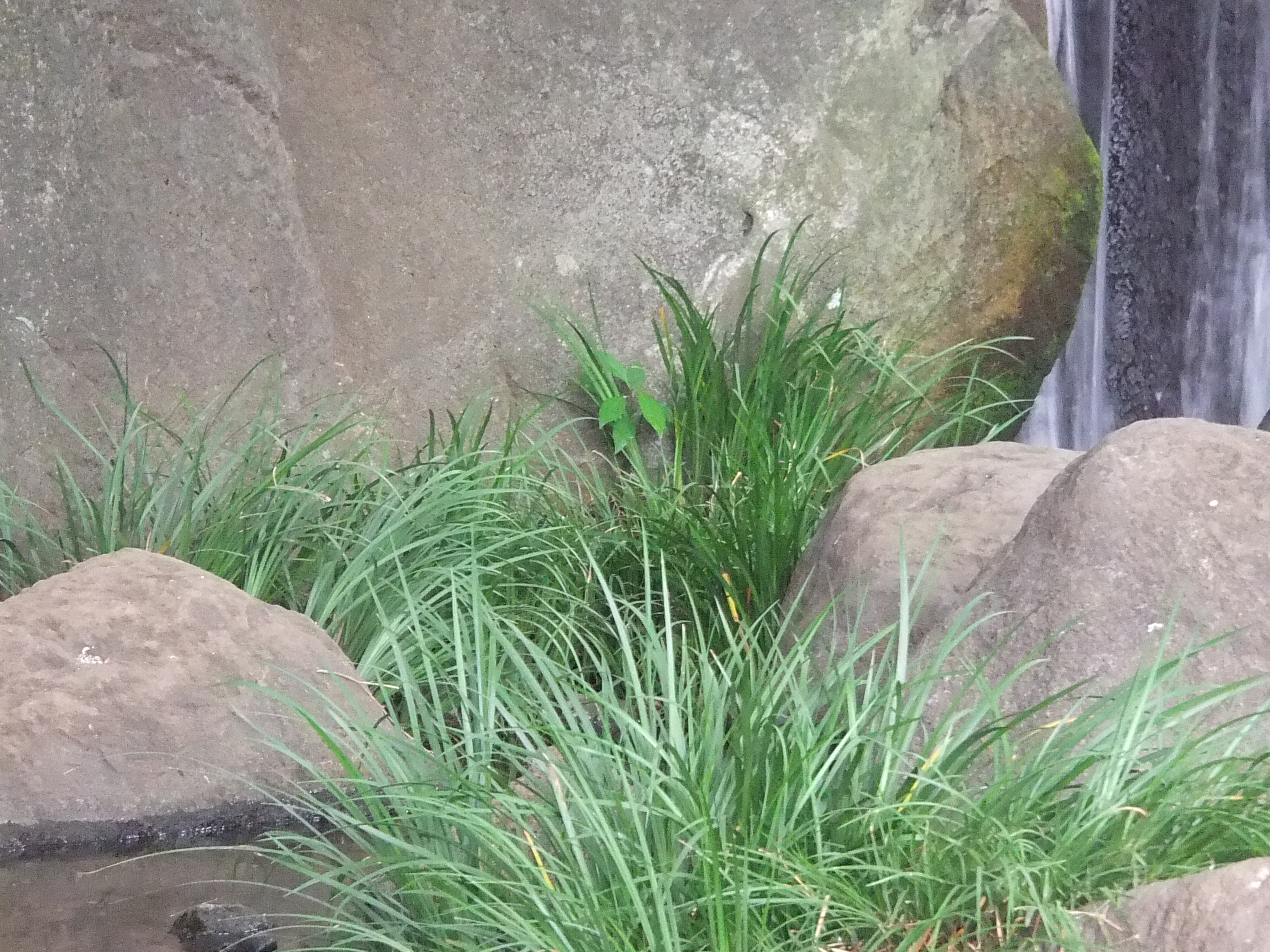 <b>テレ/ワイド同時撮り（望遠端）<br>FinePix REAL 3D W1 / 約4.8MB / 3,648×2,736 / 1/20秒 / F4.2 / 0EV / ISO800 / WB:オート / 18.9mm</b>