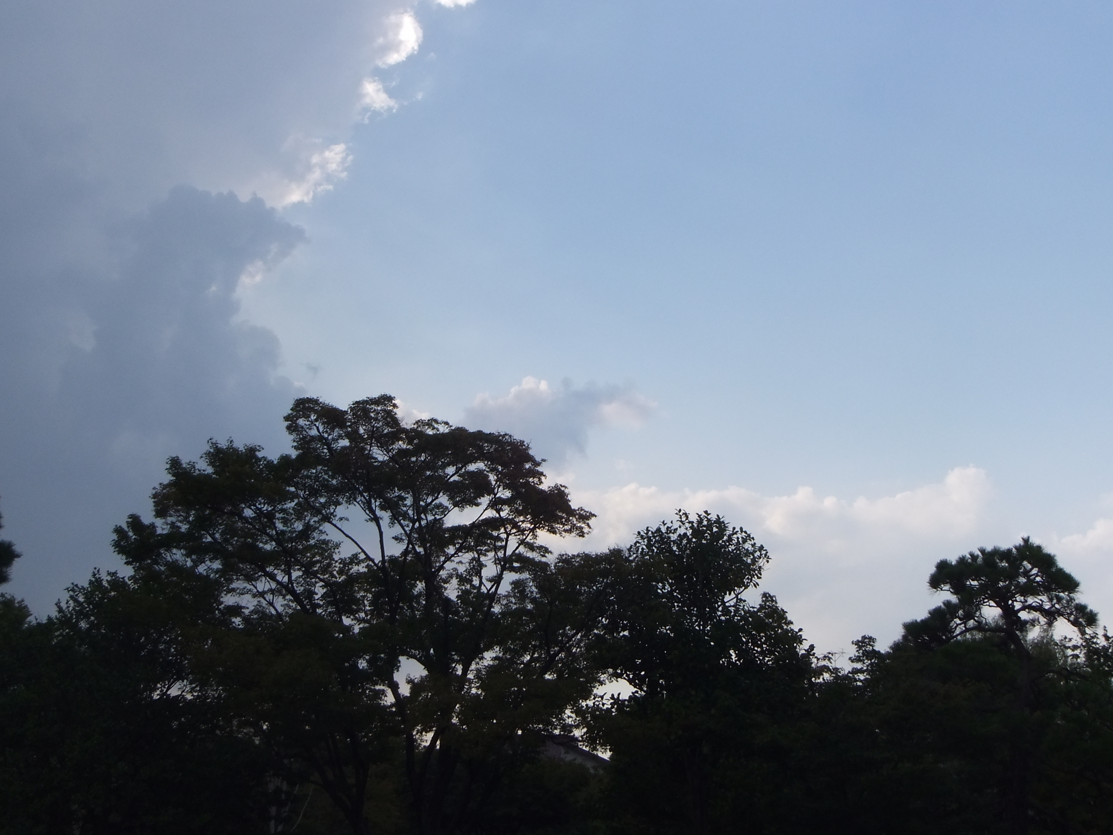 <b>FinePix REAL 3D W1 / 約4.9MB / 3,648×2,736 / 1/200秒 / F8 / 0EV / ISO100 / WB:オート / 6.3mm</b>