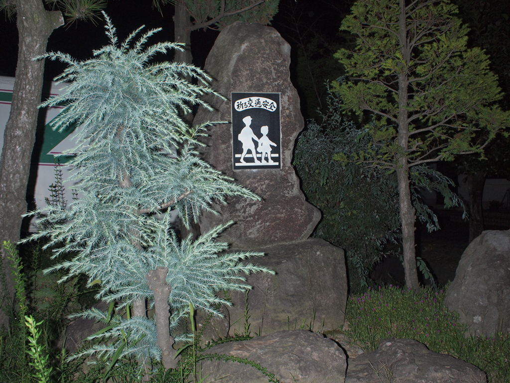 <b>小学校のそばにあった石碑だが、ストロボの不自然な光が返って不気味でカッコよく撮れたように思う。特に植物の質感が独特だ</b>