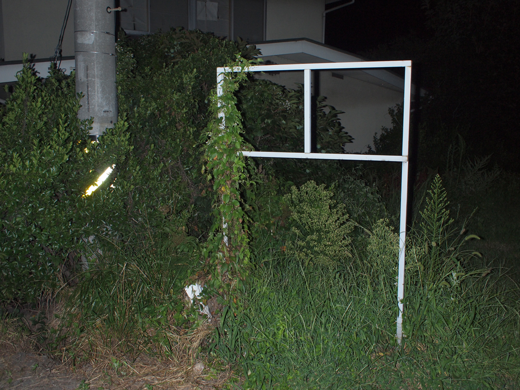 <b>何かの看板のフレームだけが残ったものだろうか。肉眼で見た印象通りくっきりと描写され、周囲の不定形な植物との対比が面白い。左端の古びた電柱の反射板もやけに光っている</b>