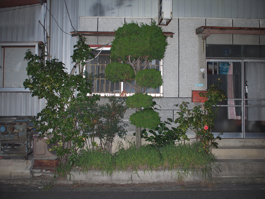 <b>とある板金屋さんの植木だが、何だかカッコよく撮れたように思う。ぼくは“遠近法”に興味があるのだが、ストロボ光で撮ると妙に遠近感が惑わされ、その裏切られた感がカッコいいのかもしれない</b>