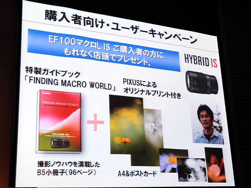 <b>世界の月別出荷台数</b>