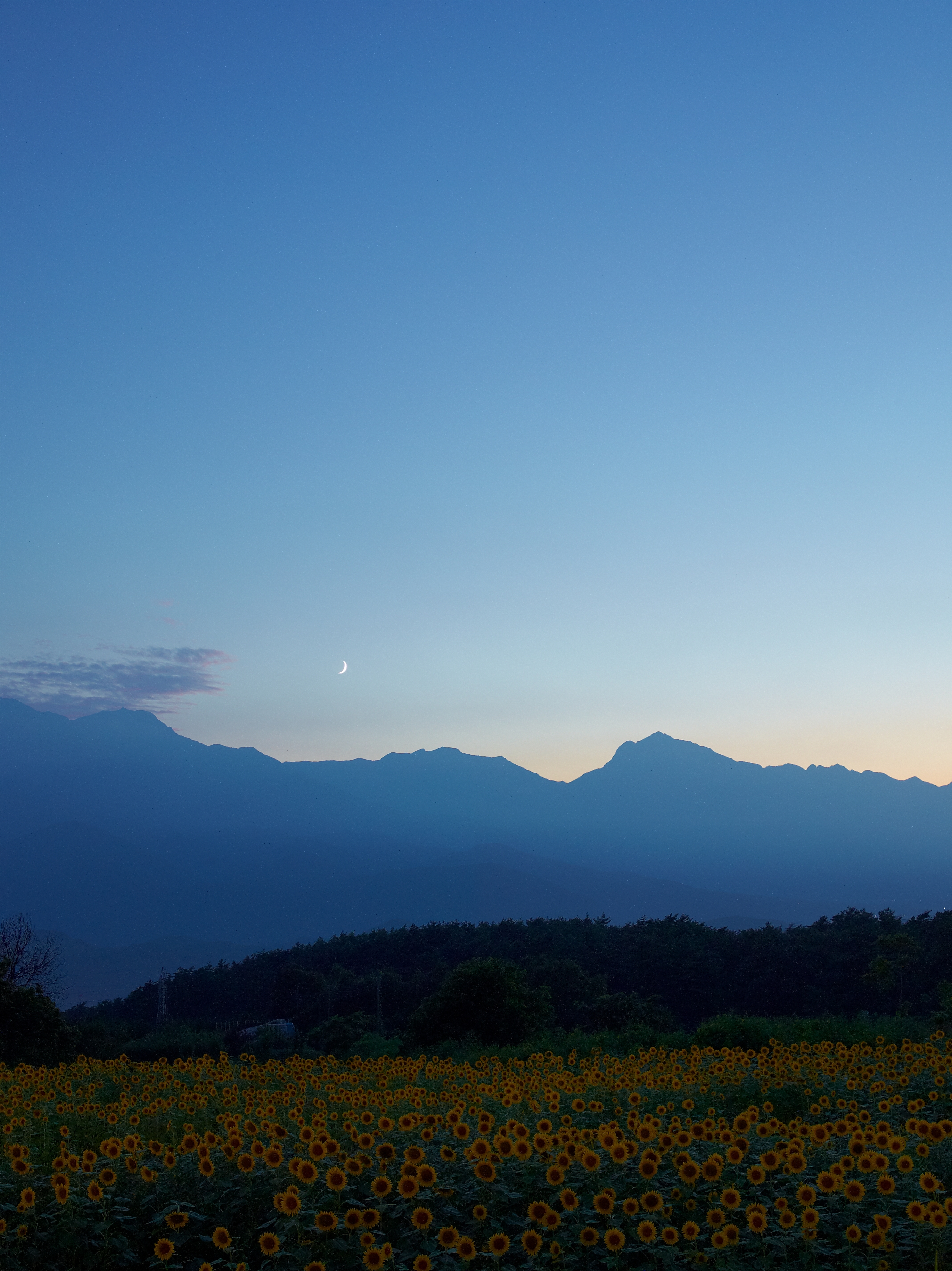 <b>P40+ / CFi 50mm F4 / P40+ / 約6.2MB / 2,740×3,658 / 3秒 / F8 / ISO200<br></b><b></b>