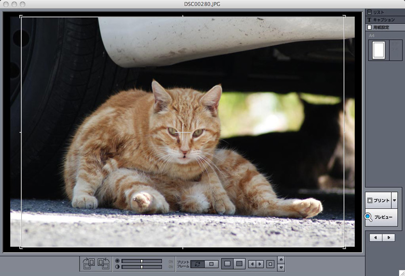 <b>プリントMAX! 3</b>