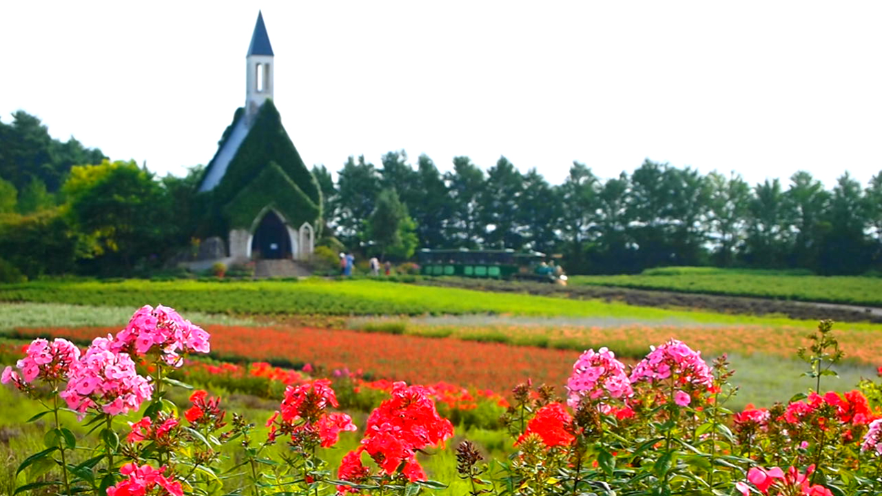 <b><a href="/video/dcw/docs/313/591/12.avi">ポップアート（M.ZUIKO DIGITAL ED 14-42mm F3.5-5.6）<br>ポップアートは、色鮮やかな被写体を撮影する時に便利なフィルターだが、曇りや色が足りない被写体を撮影する時にも意外と重宝する。木々の緑や空の青など色を強調するには便利。30fpsなので動く被写体も問題なくスムーズに撮影可能</a></b>