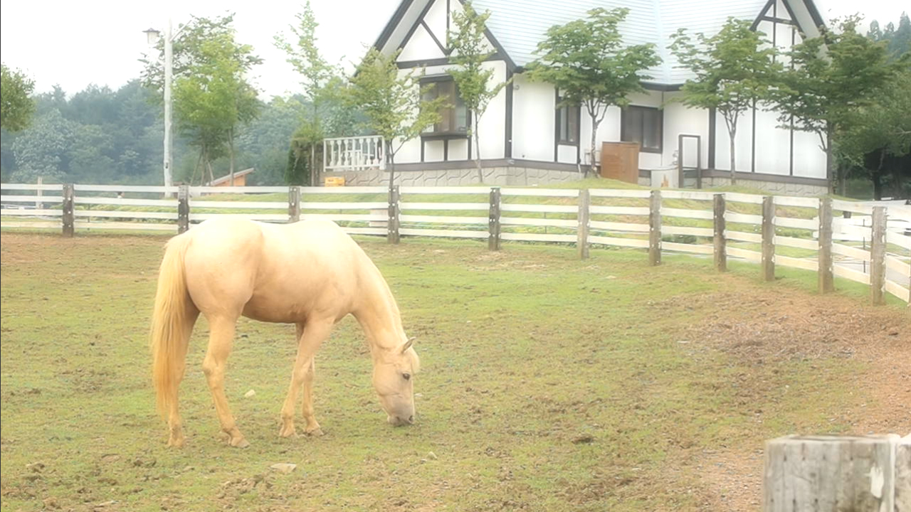 <b><a href="/video/dcw/docs/313/591/13.avi">ファンタジックフォーカス（M.ZUIKO DIGITAL ED 14-42mm F3.5-5.6）<br>ファンタジックフォーカスは、ソフトフィルターをかけた時のエフェクトを再現できる。被写体を柔らかく撮影したい場合や女性を撮る時には便利。ただし、フレームレートが6fpsになるので注意が必要だ</a></b>