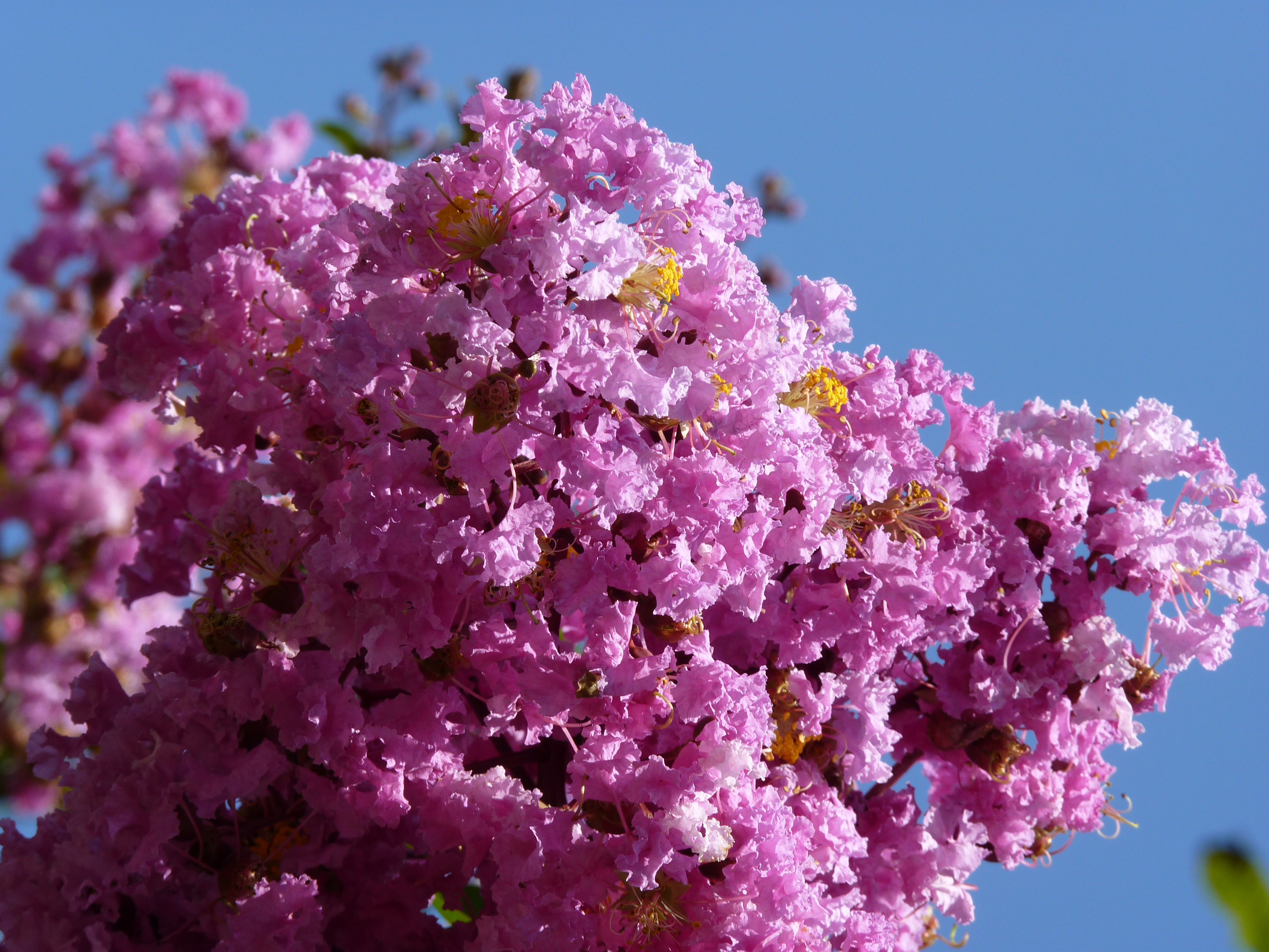 <b>DMC-FZ38 / 約6.5MB / 3,000×4,000 / 1/320秒 / F5.6 / 0EV / ISO80 / WB:オート / 43.3mm</b>