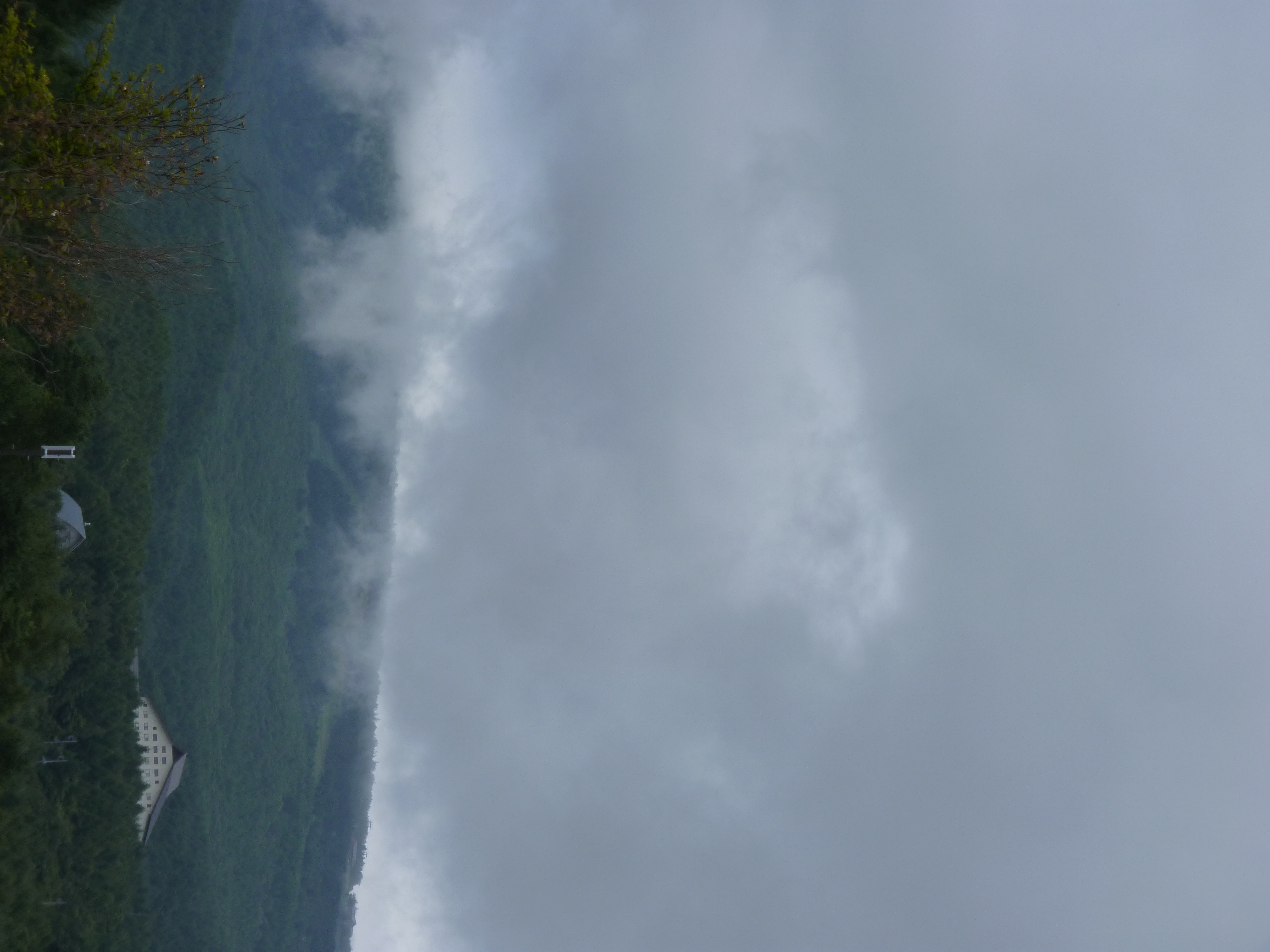 <b>DMC-FZ38 / 約4.5MB / 3,000×4,000 / 1/400秒 / F5.6 / 0EV / ISO125 / WB:オート / 20.1mm</b>