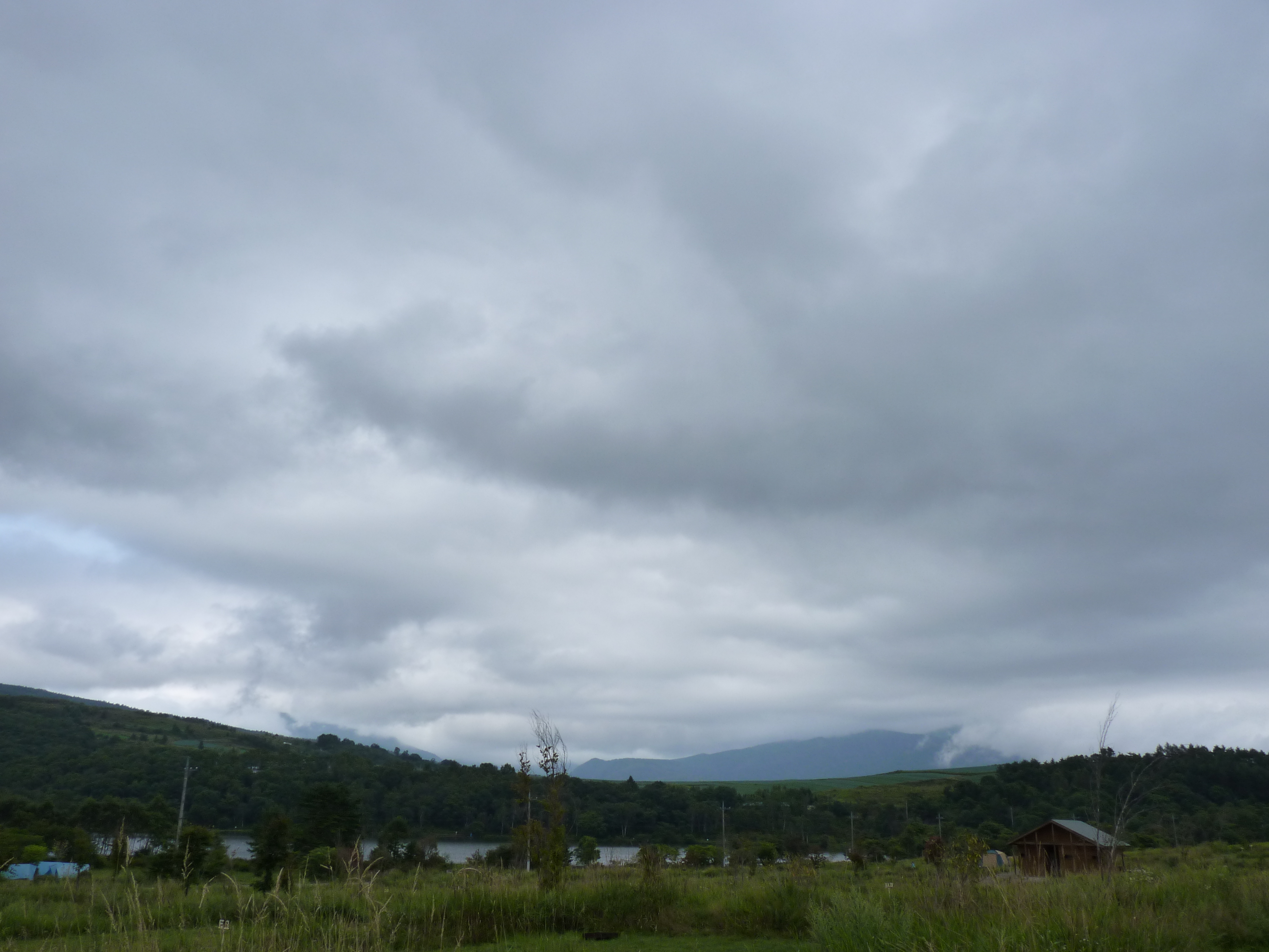 <b>DMC-FZ38 / 約3.6MB / 4,000×3,000 / 1/320秒 / F5.6 / 0EV / ISO125 / WB:オート / 4.8mm</b>