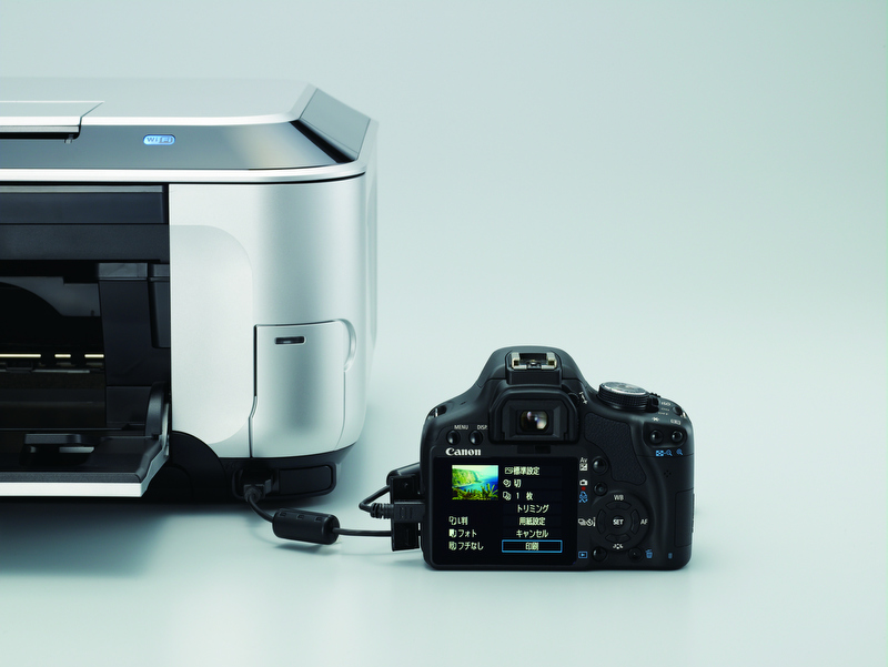 <b>カードダイレクトやカメラダイレクトでのプリントが可能。自動写真補正IIを適用できる</b>
