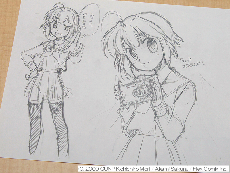 <STRONG>小鳥遊ヒナノ（設定資料から）</STRONG>