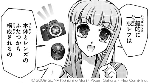 <STRONG>カメラや写真についてのごく初歩的な知識は、所々でフォローしている</STRONG>