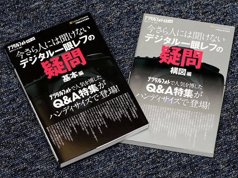 <STRONG>「デジタルフォトポケットシリーズ 今さら人には聞けないデジタル一眼レフの疑問 基本編+構図編」（2冊セットで3名に）</STRONG>