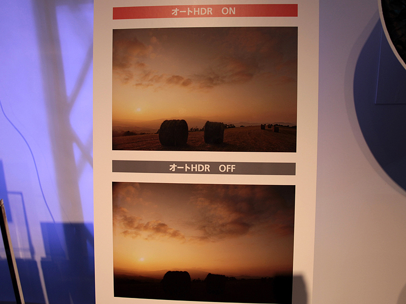 <b>この作例では、オートHDR機能により黒ツブレが大幅に軽減していた</b>