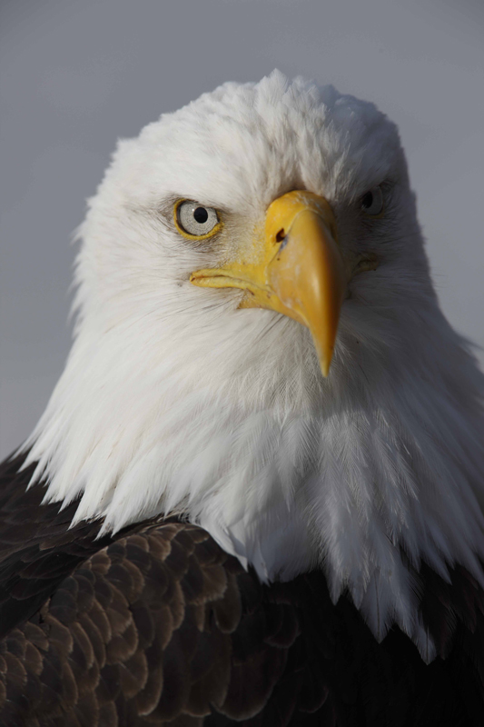 <b>(c)前川貴行</b>