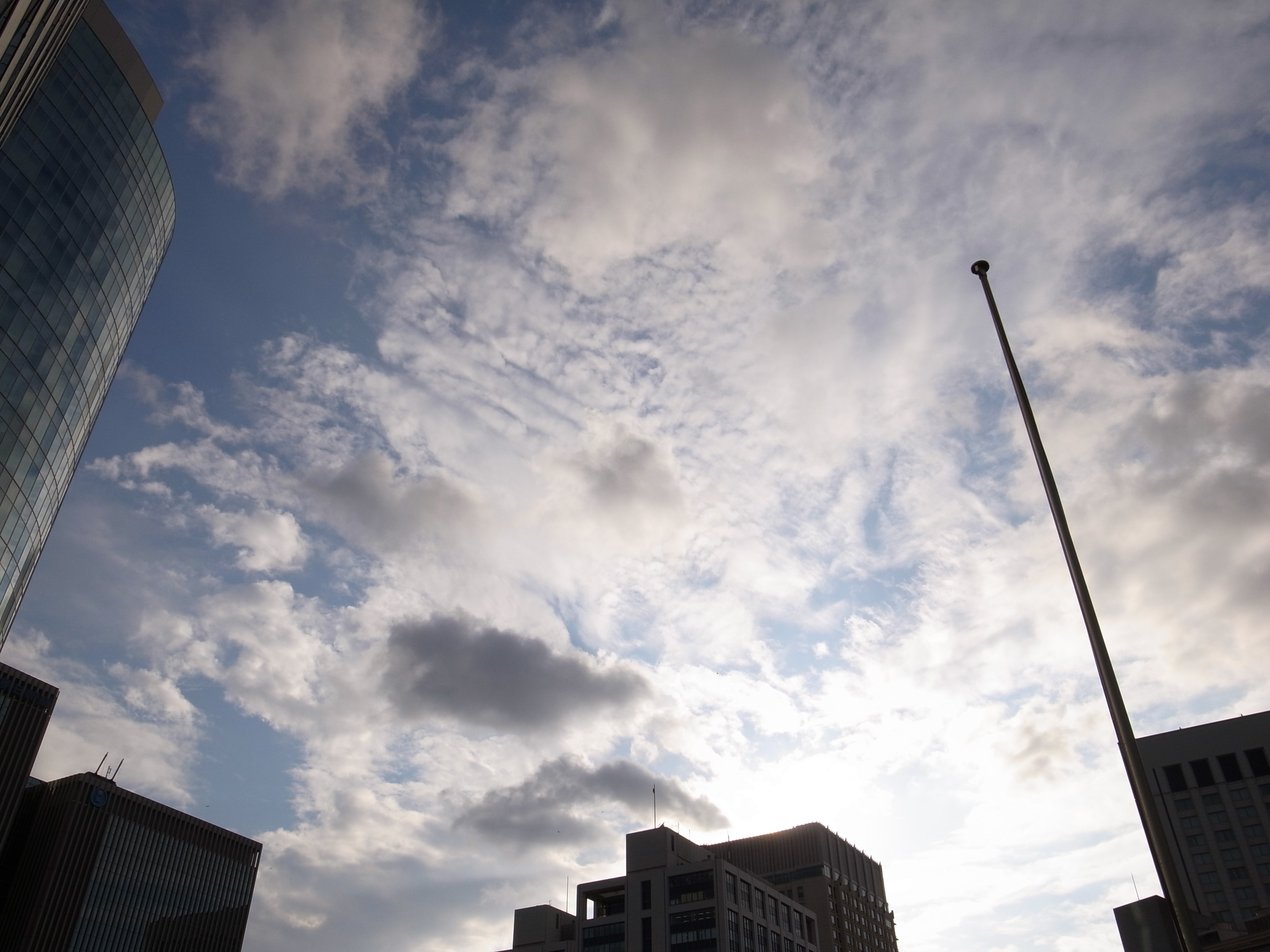 <b>3,648×2,736 / 1/2000秒 / F5 / +0.7EV / ISO64 / 絞り優先AE / WB:オート</b>