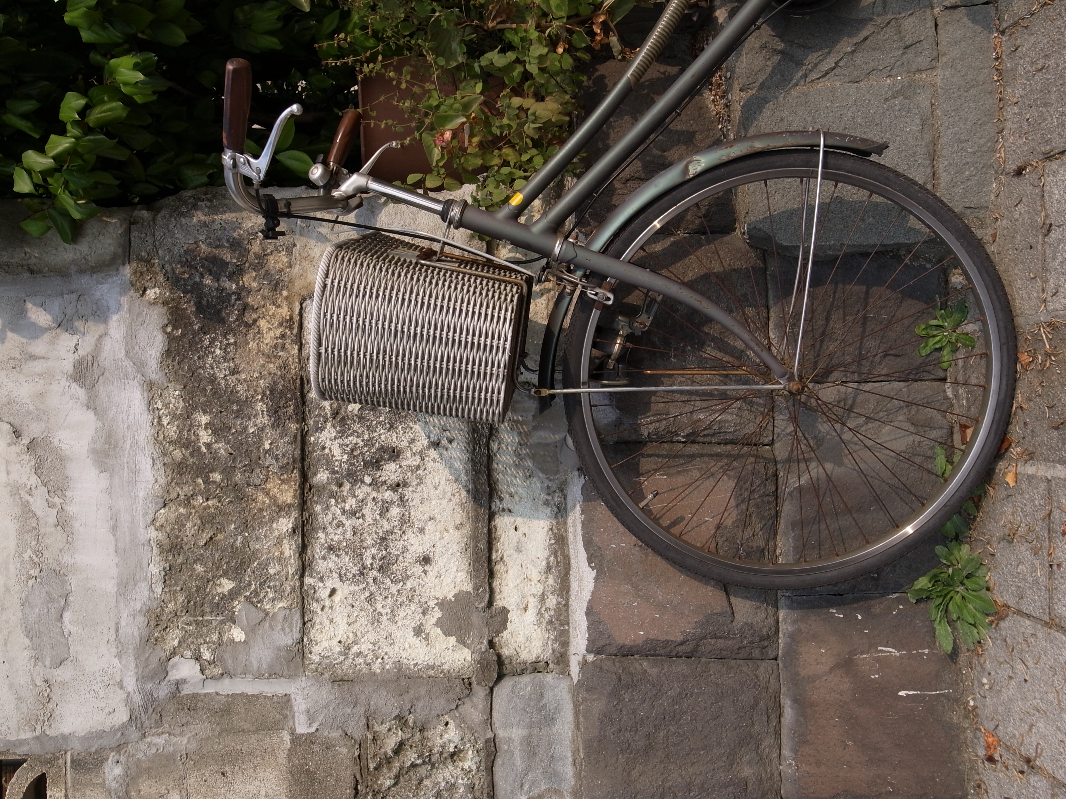 <b>2,736×3,648 / 1/400秒 / F4.5 / -0.3EV / ISO64 / プログラムAE / WB:オート</b>