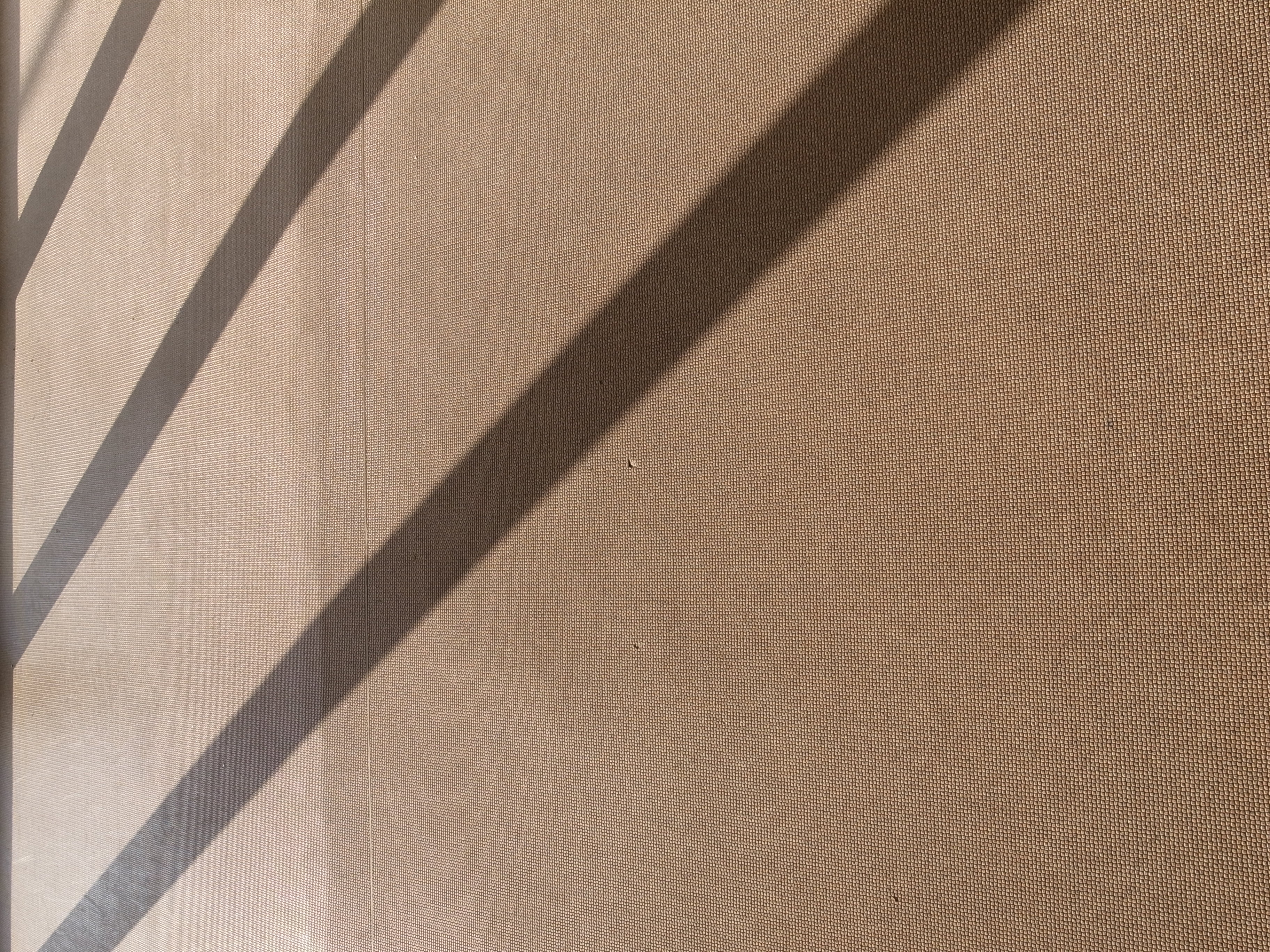 <b>2,736×3,648 / 1/133秒 / F5 / +0.3EV / ISO64 / 絞り優先AE / WB:オート</b>