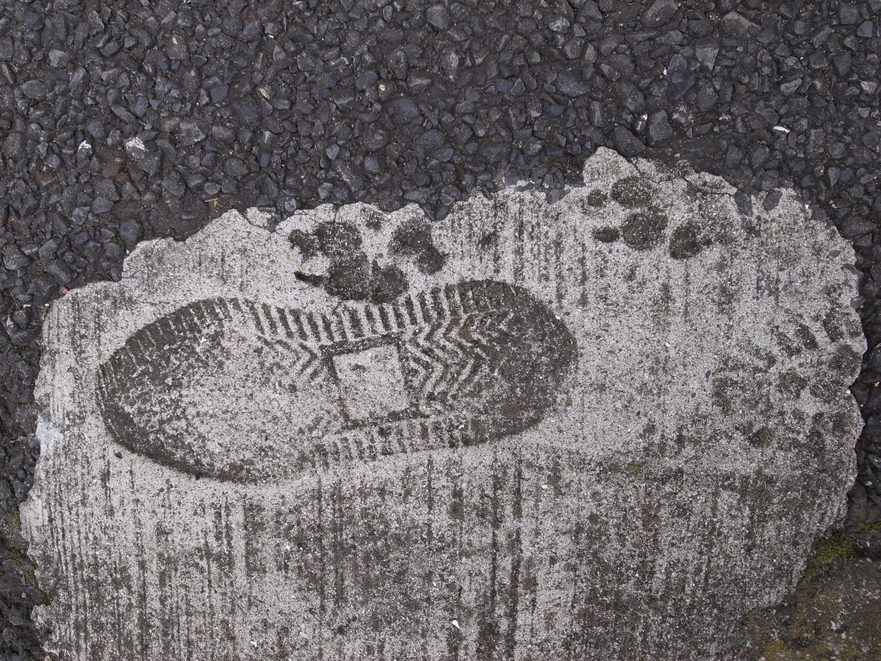 <b>3,648×2,736 / 1/90秒 / F4.5 / -0.3EV / ISO64 / 絞り優先AE / WB:オート</b>