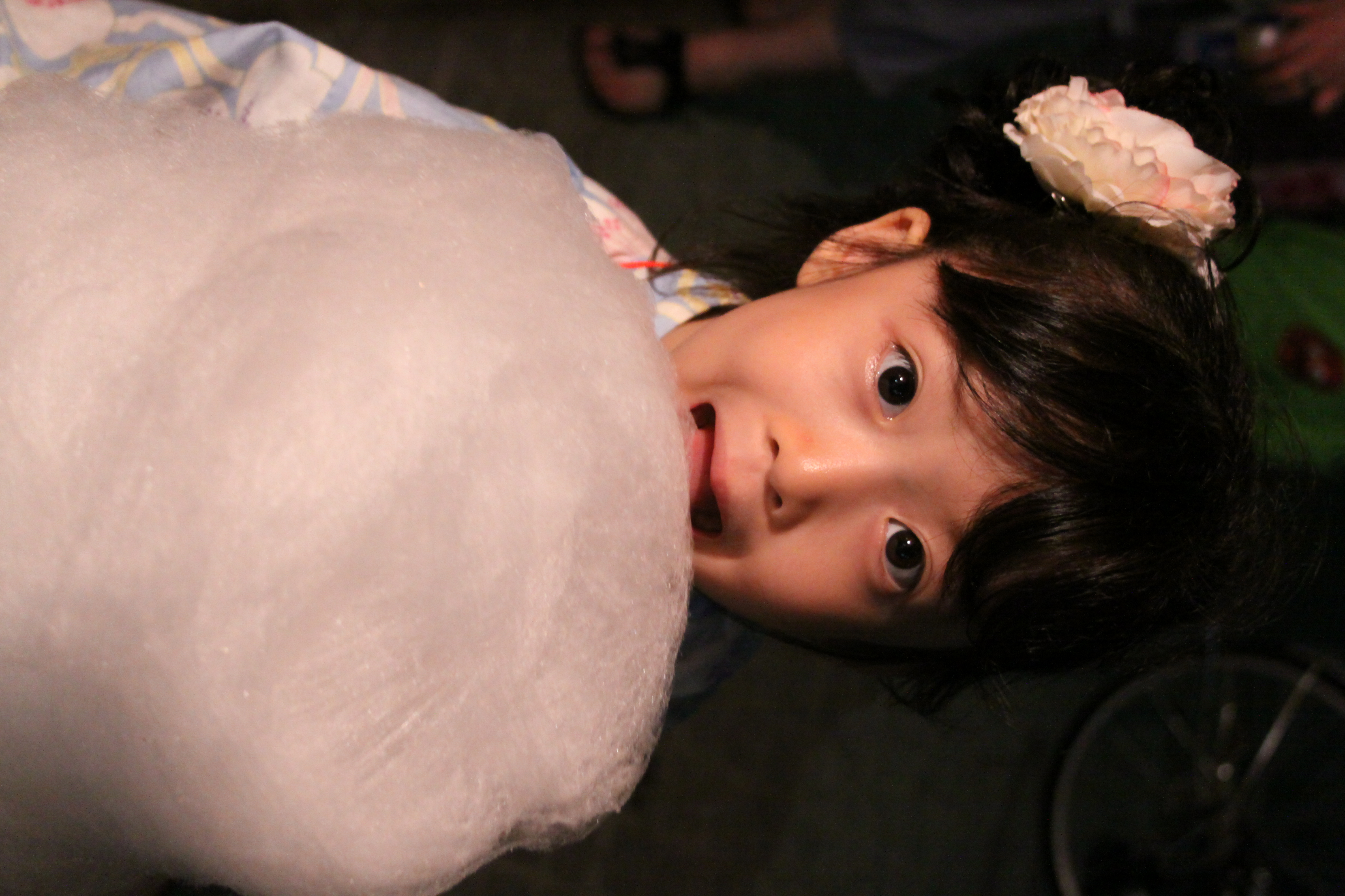 <b>EOS 50D / EF-S 18-55mm F3.5-5.6 USM / 約4.3MB / 3,168×4,752 / 1/80秒 / F4.5 / 0EV / ISO3200 / WB:電球 / 33mm</b>