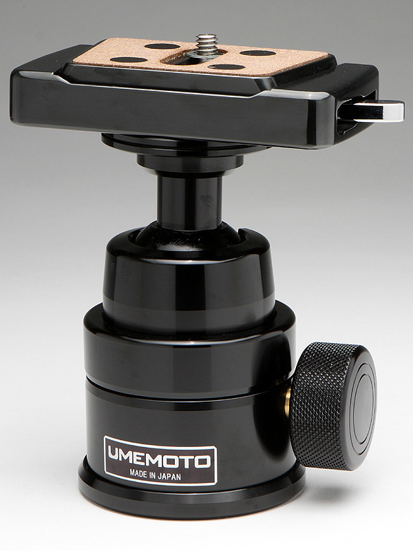 <STRONG>SG-80をSL-60AZDに装着したところ。純正の組み合わせだけあって、デザインにも統一感がある。</STRONG>