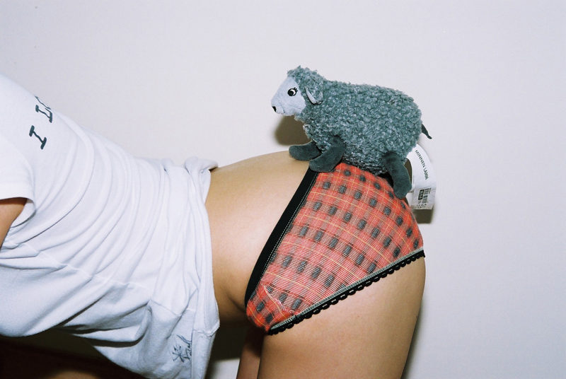 <b>(c)山田敦士</b>