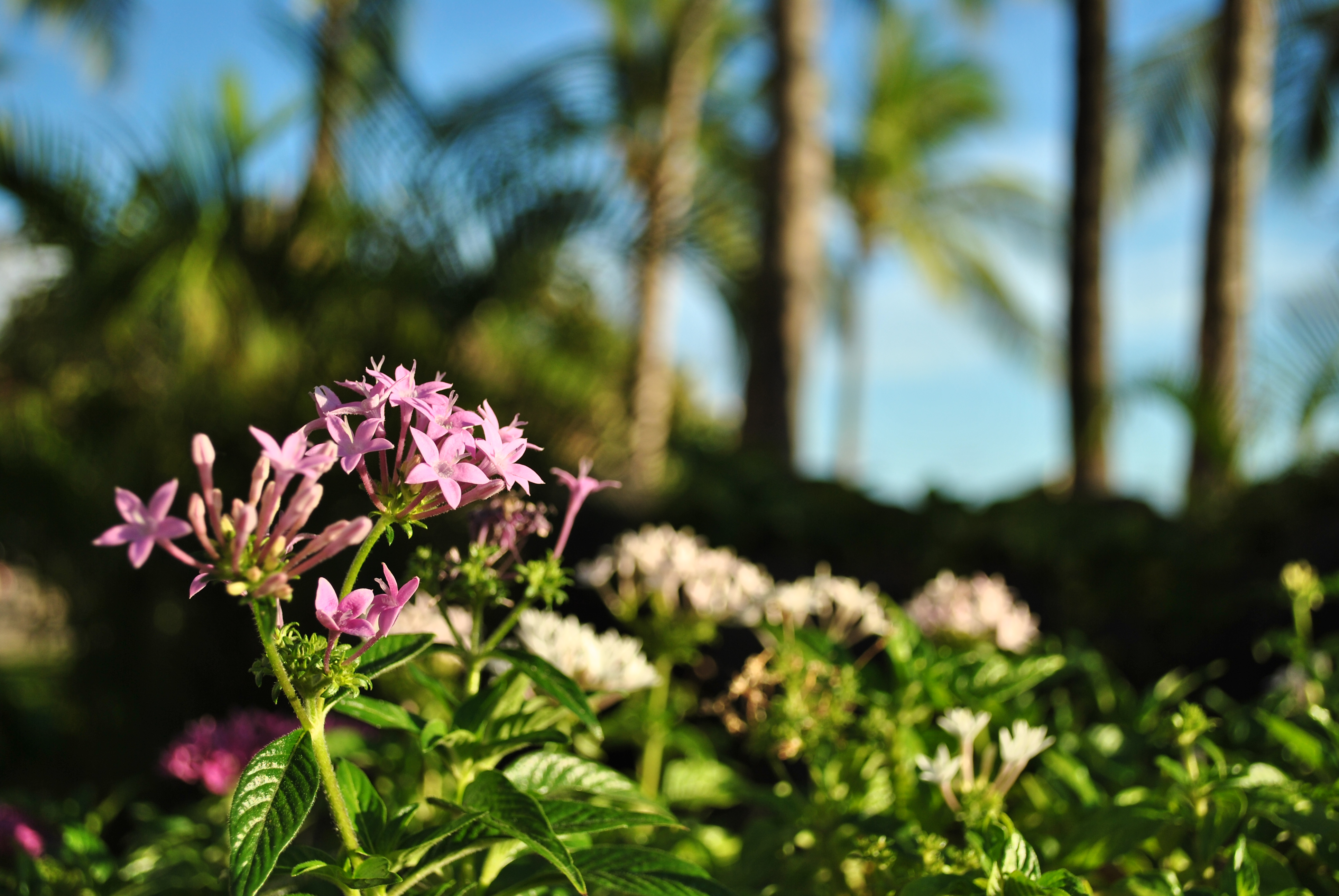 <b>F5（絞り開放）</b>