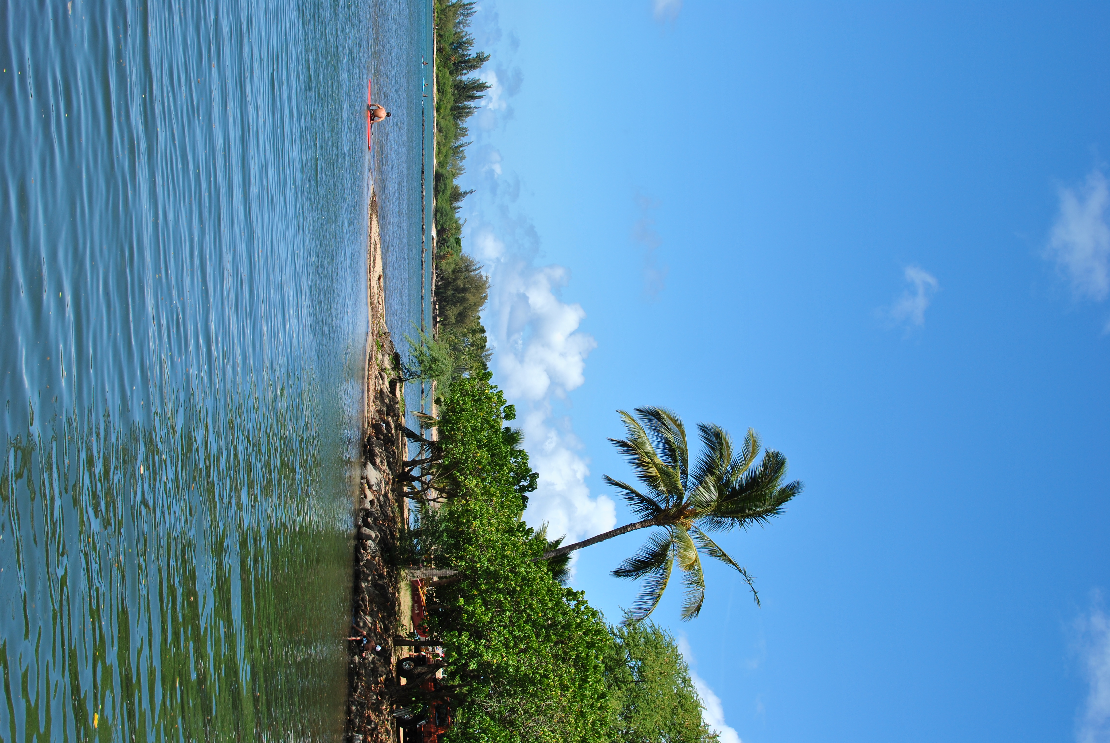 <b>D3000 / AF-S DX NIKKOR 35mm F1.8 G / 約4.5MB / 2,592×3,872 / 1/320秒 / F7.1 / 0EV / ISO100 / WB:晴天 / 35mm</b>