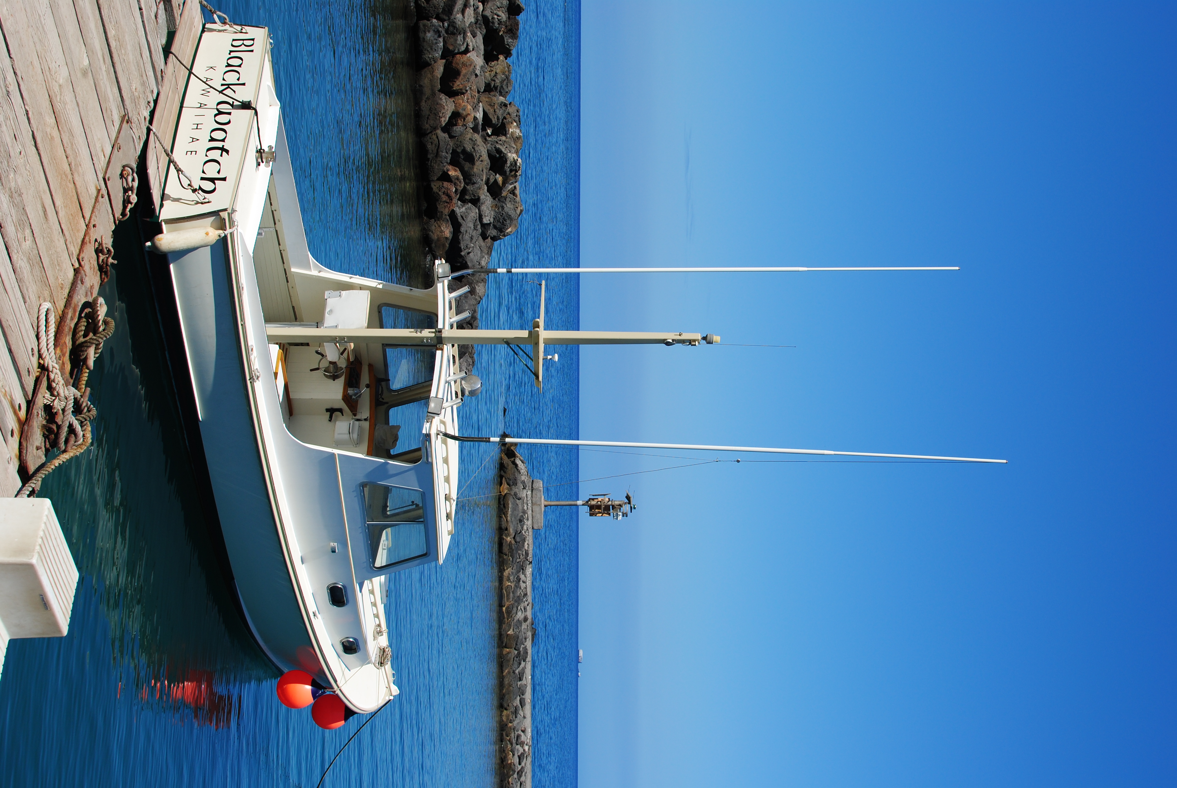 <b>D3000 / AF-S DX NIKKOR 35mm F1.8 G / 約4.1MB / 2,592×3,872 / 1/400秒 / F8 / 0EV / ISO100 / WB:晴天 / 35mm</b>