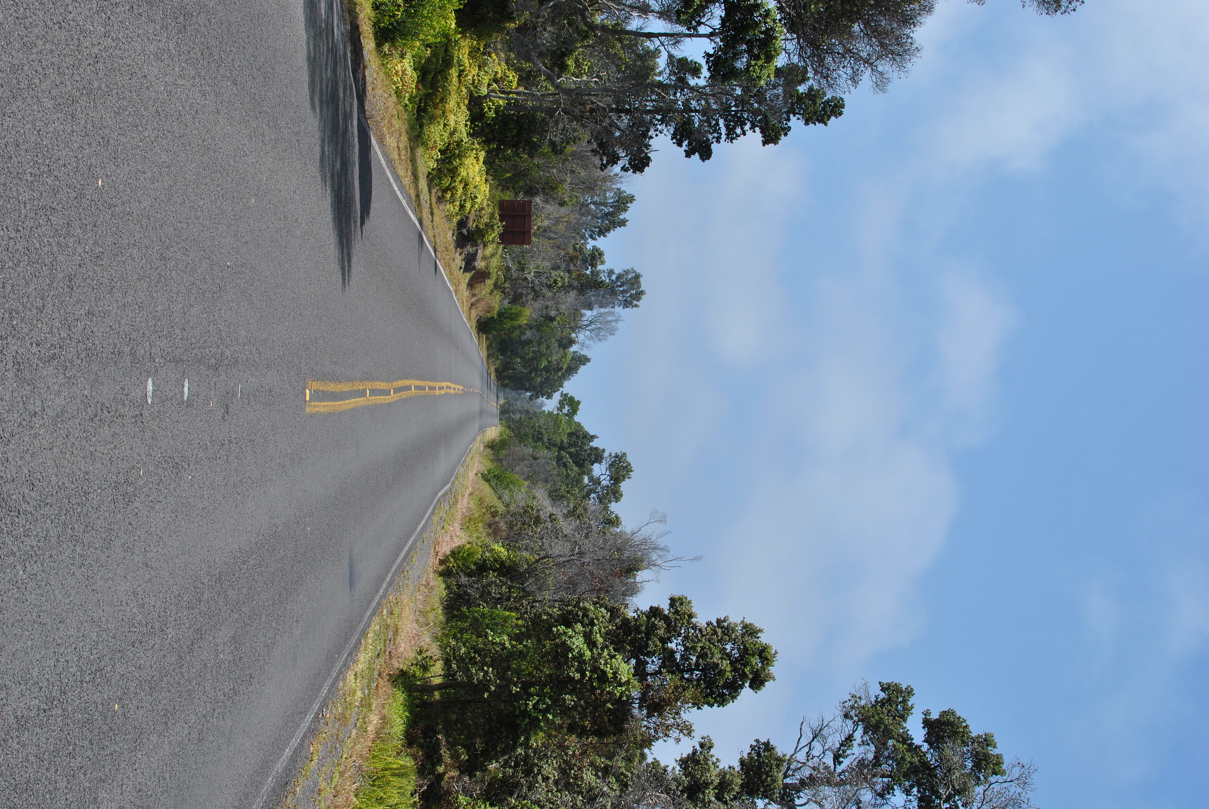 <b>D3000 / AF-S DX NIKKOR 35mm F1.8 G / 約4.7MB / 2,592×3,872 / 1/250秒 / F9 / -0.3EV / ISO100 / WB:晴天 / 35mm</b>