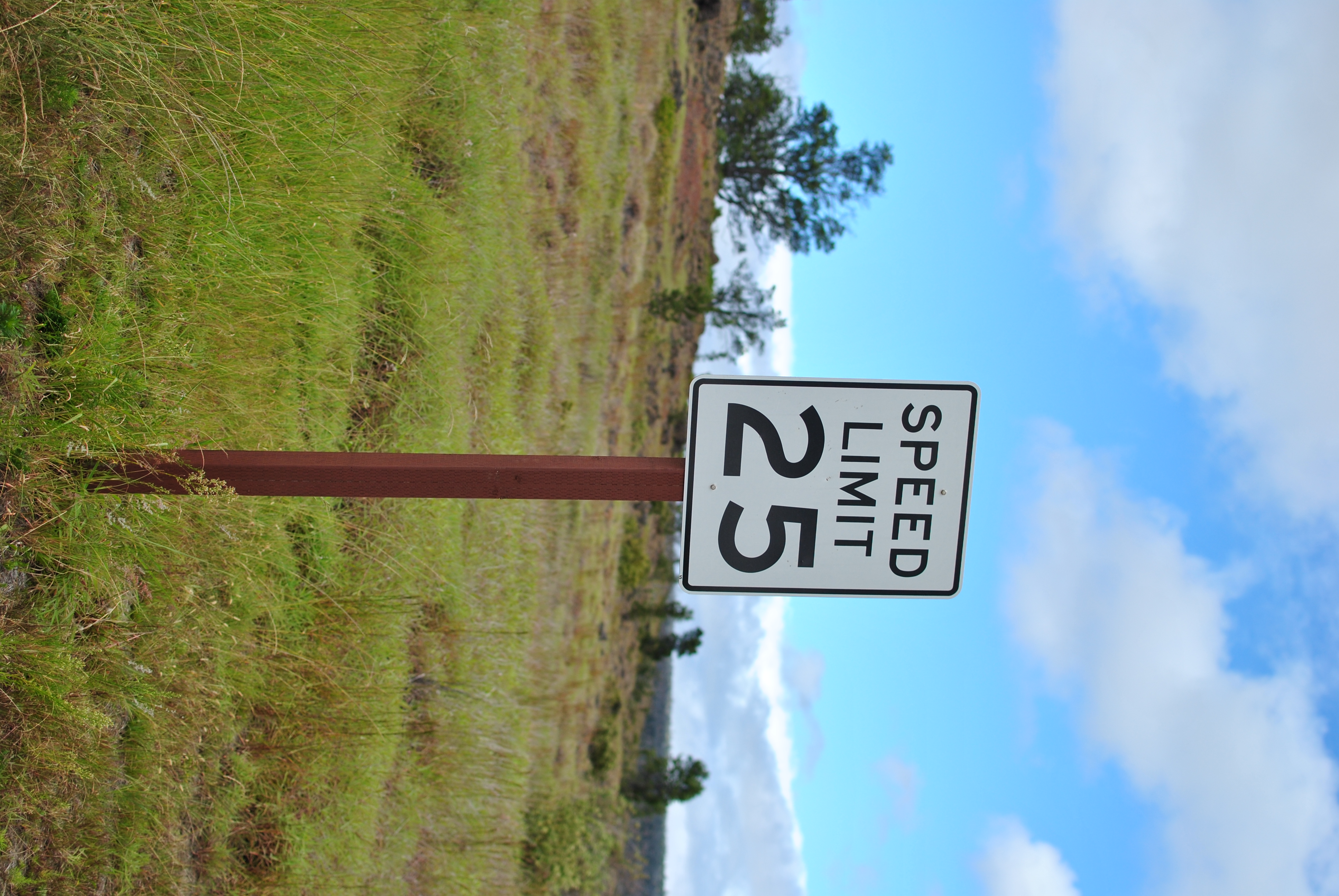 <b>D3000 / AF-S DX NIKKOR 35mm F1.8 G / 約4.1MB / 2,592×3,872 / 1/2500秒 / F2.5 / 0EV / ISO100 / WB:晴天 / 35mm</b>