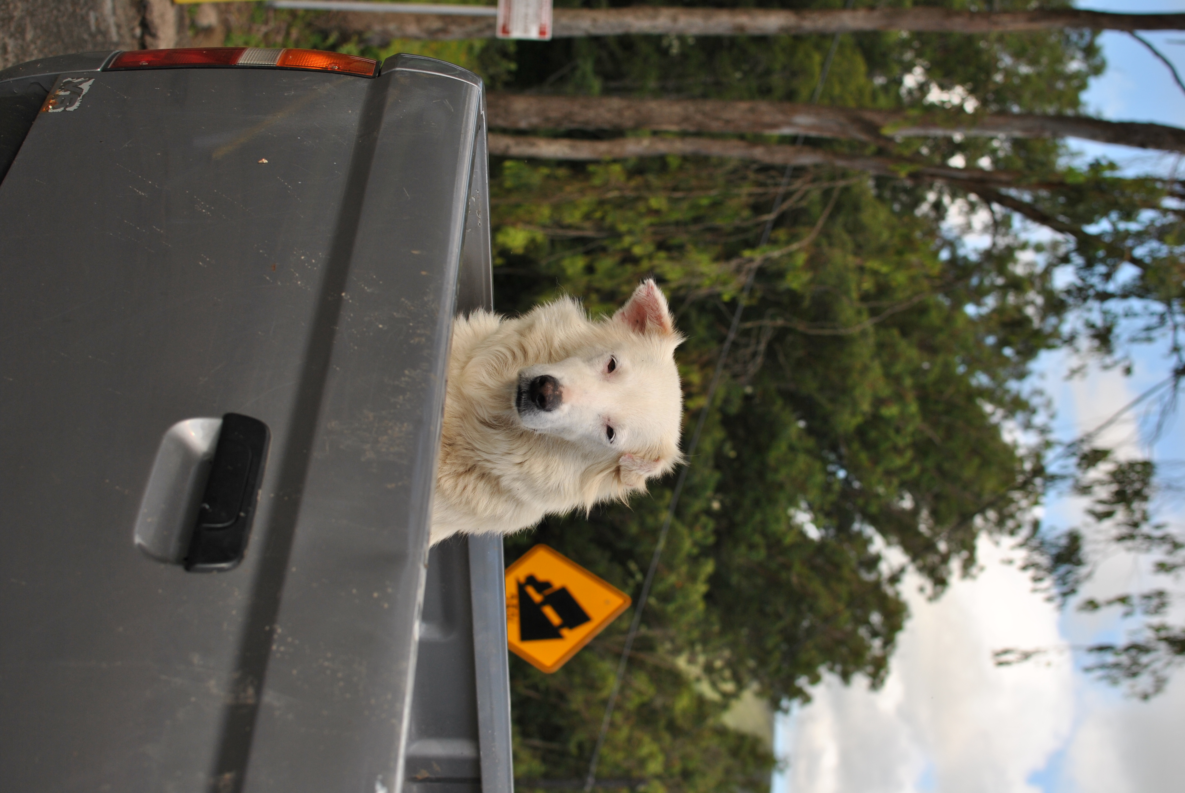 <b>D3000 / AF-S DX NIKKOR 35mm F1.8 G / 約3.8MB / 2,592×3,872 / 1/640秒 / F4 / -0.3EV / ISO100 / WB:オート / 35mm</b>