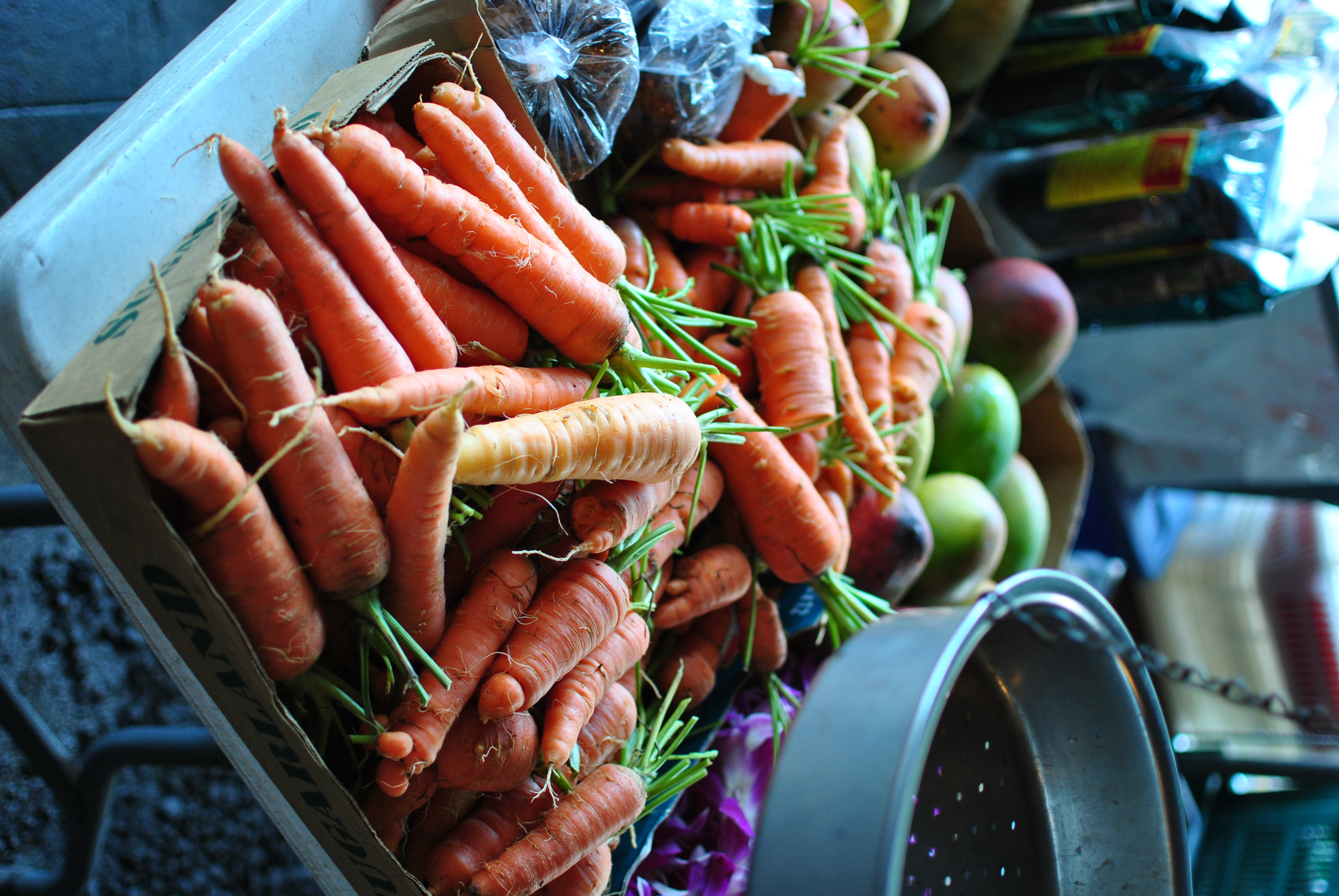 <b>D3000 / AF-S DX NIKKOR 35mm F1.8 G / 約4.4MB / 2,592×3,872 / 1/60秒 / F2 / -0.3EV / ISO280 / WB:オート / 35mm</b>