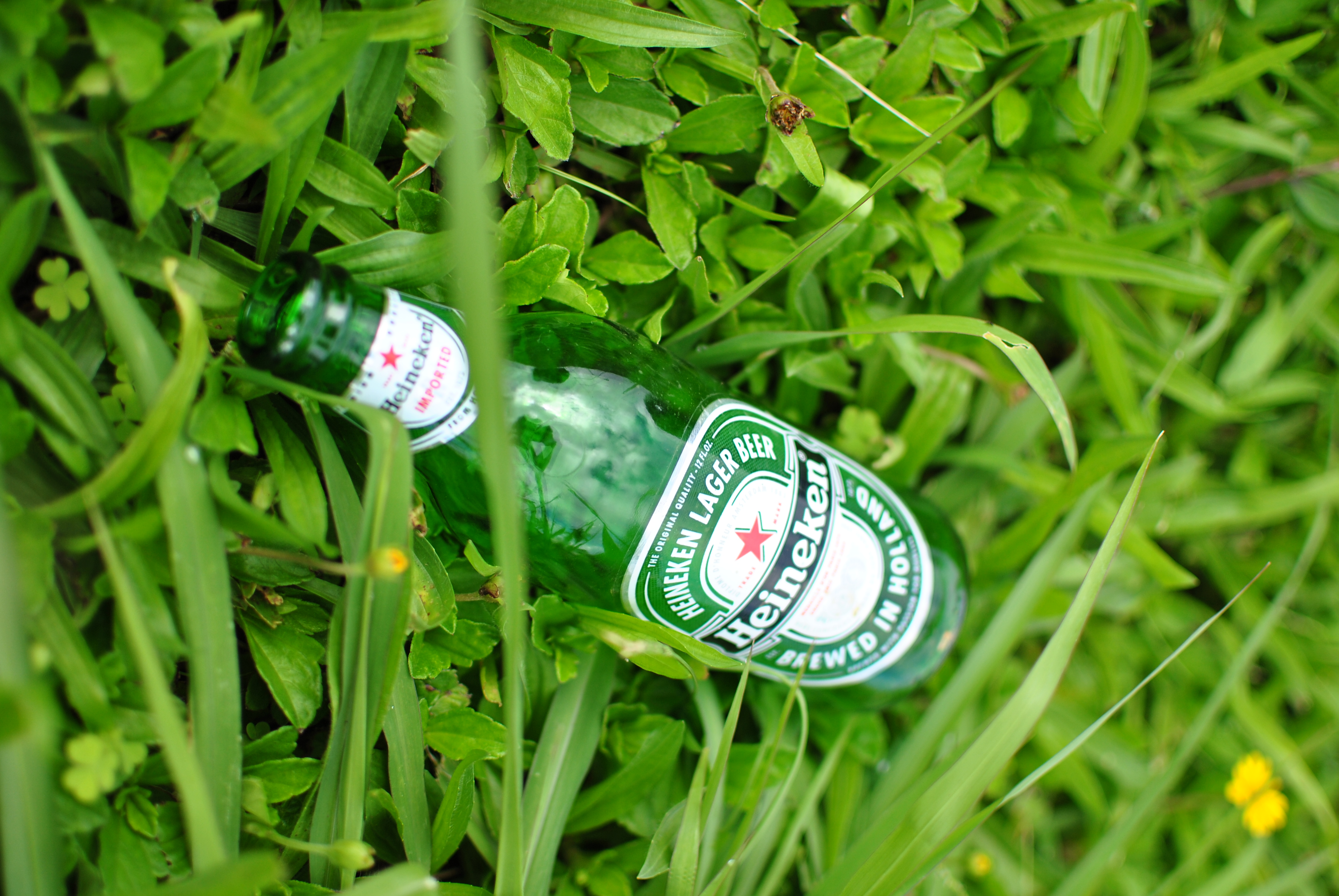 <b>D3000 / AF-S DX NIKKOR 35mm F1.8 G / 約4.1MB / 2,592×3,872 / 1/1,600秒 / F2 / +0.3EV / ISO100 / WB:晴天 / 35mm</b>