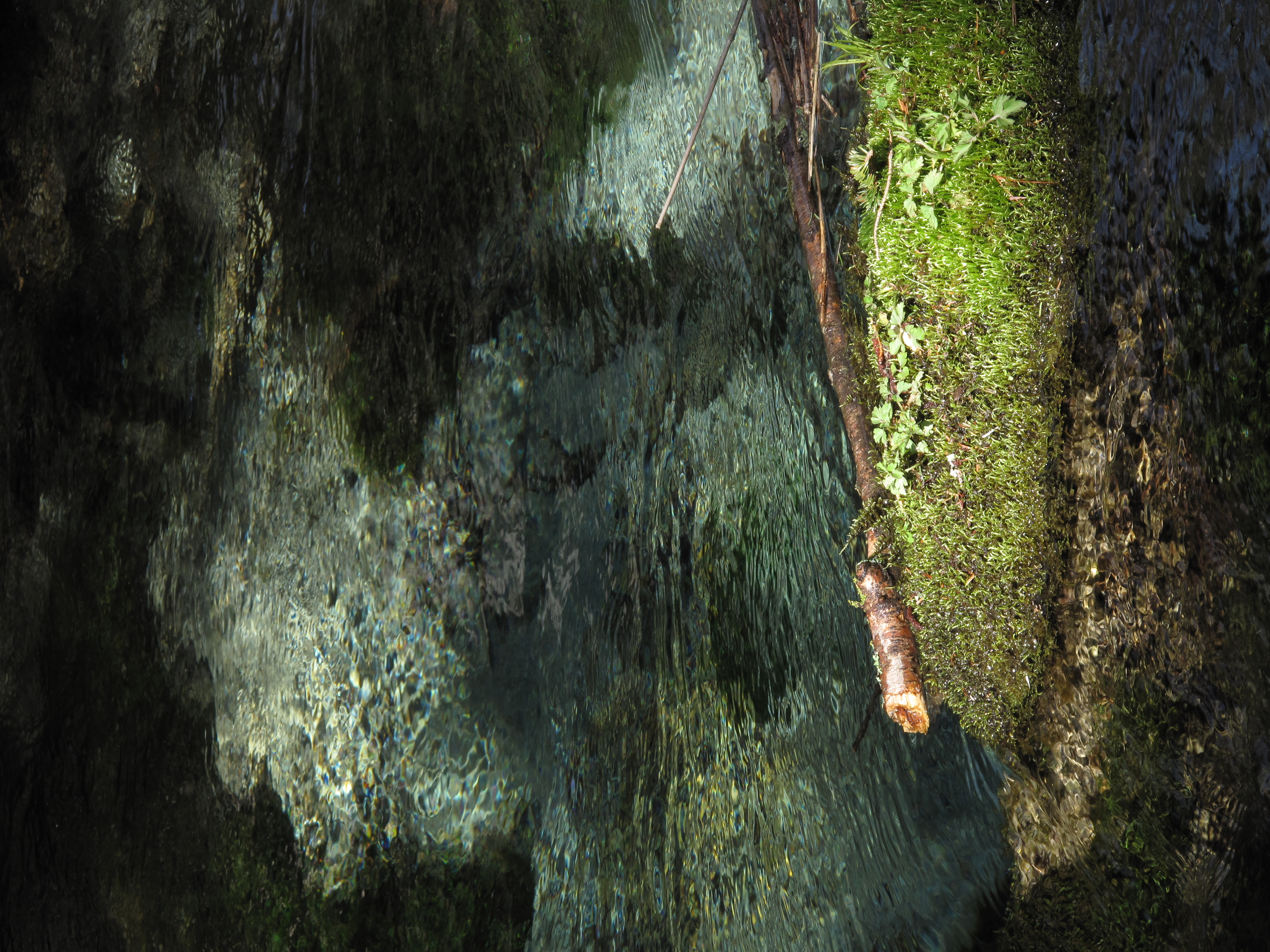 <b>3,312×4,416 / 1/100秒 / F5.6 / -1EV / ISO80 / 絞り優先AE / WB:オート / 30.5mm</b>