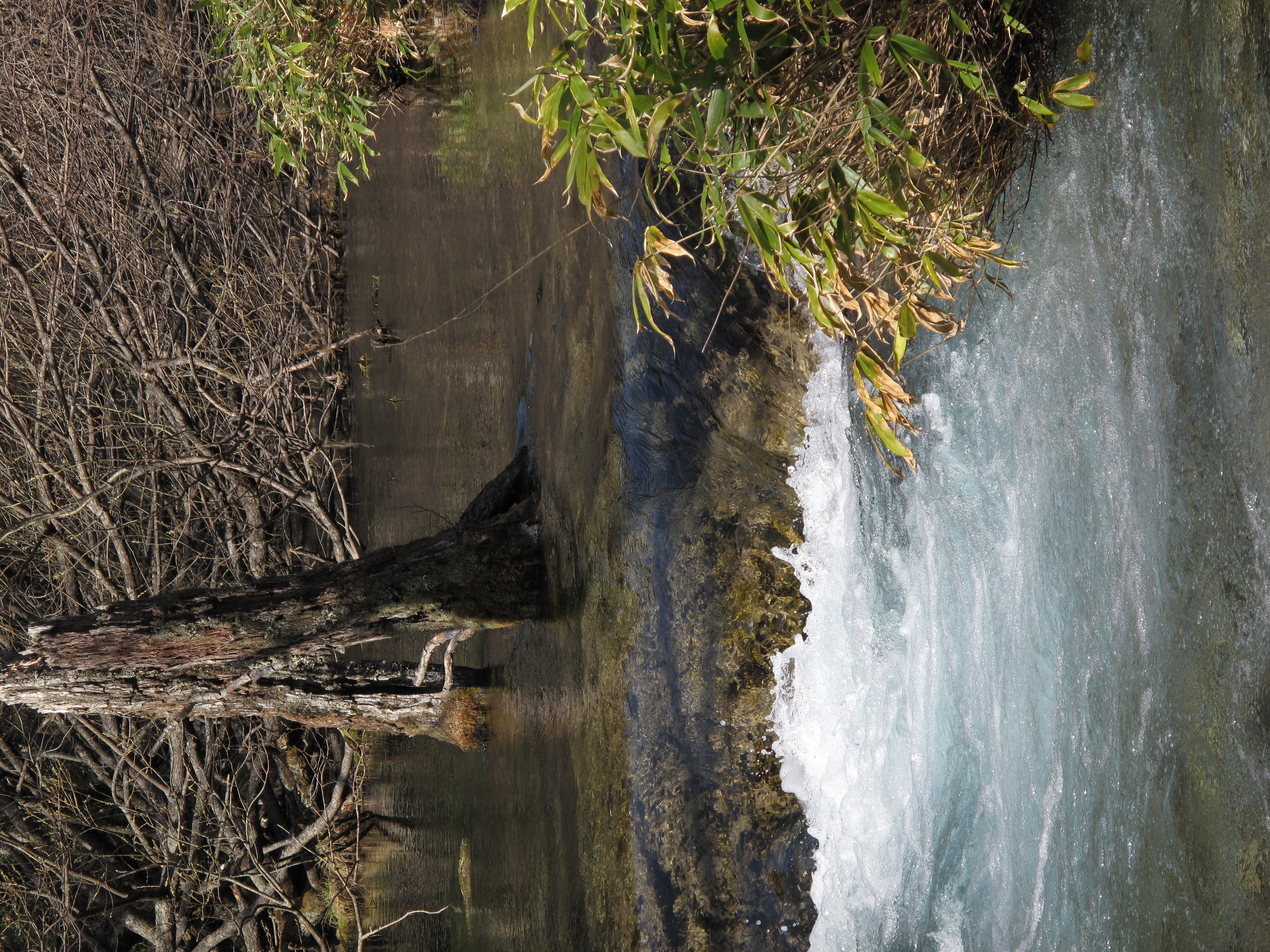 <b>3,312×4,416 / 1/400秒 / F4.5 / 0EV / ISO80 / 絞り優先AE / WB:オート / 30.5mm</b>