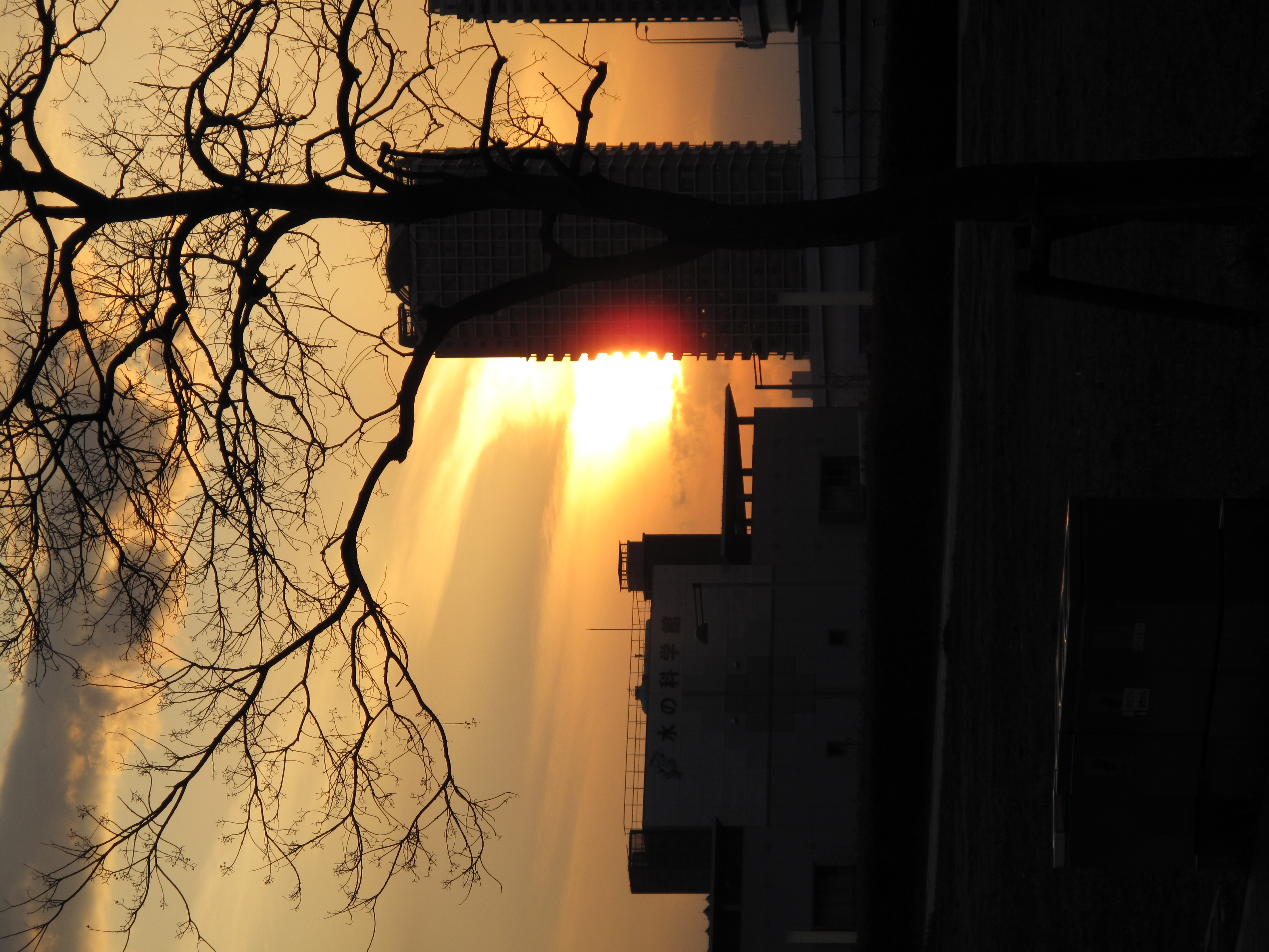 <b>3,312×4,416 / 1/640秒 / F4.5 / 0EV / ISO80 / 絞り優先AE / WB:オート / 30.5mm</b>