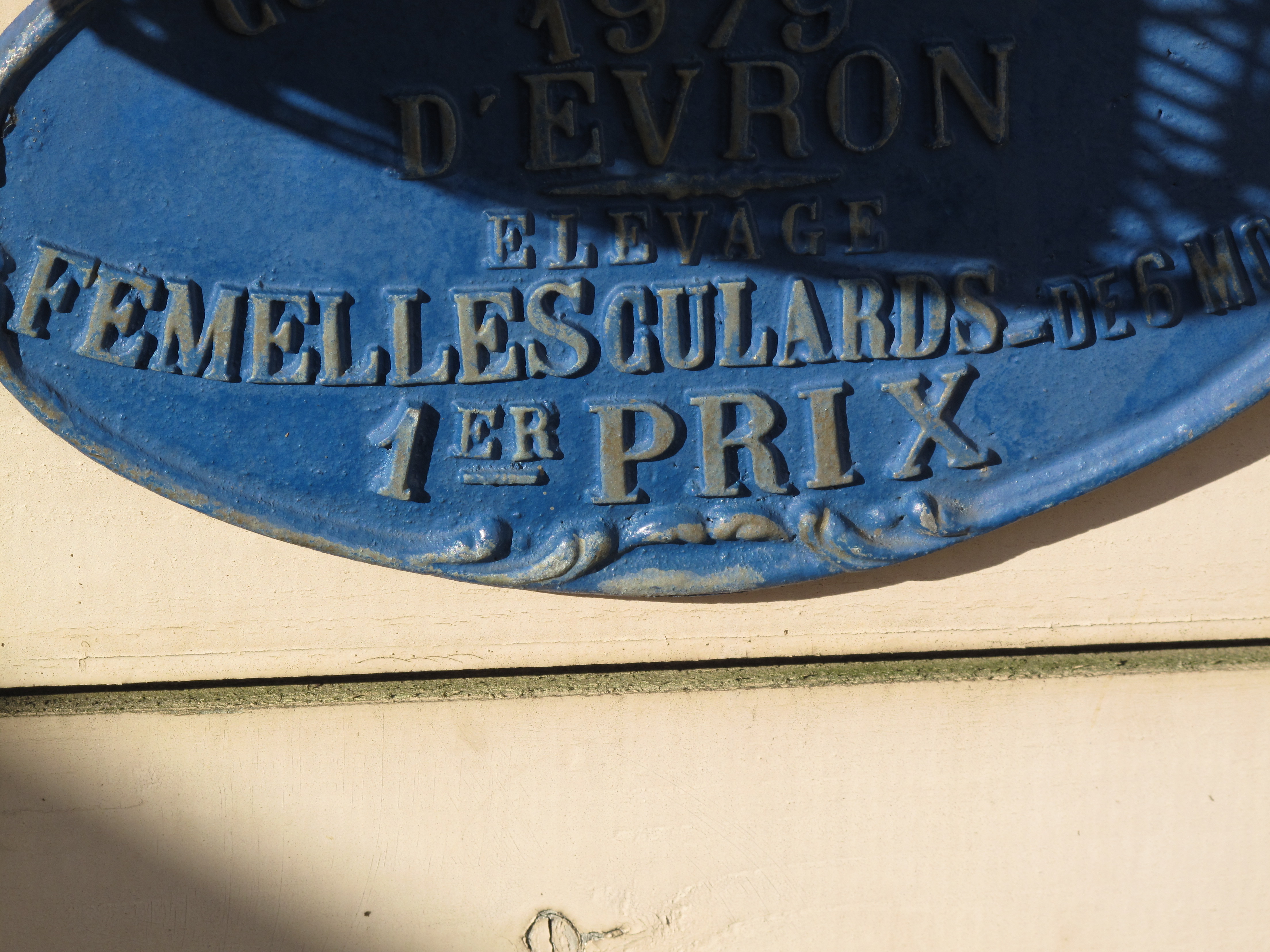 <b>4,416×3,312 / 1/320秒 / F5.6 / 0EV / ISO80 / 絞り優先AE / WB:オート / 30.5mm</b>