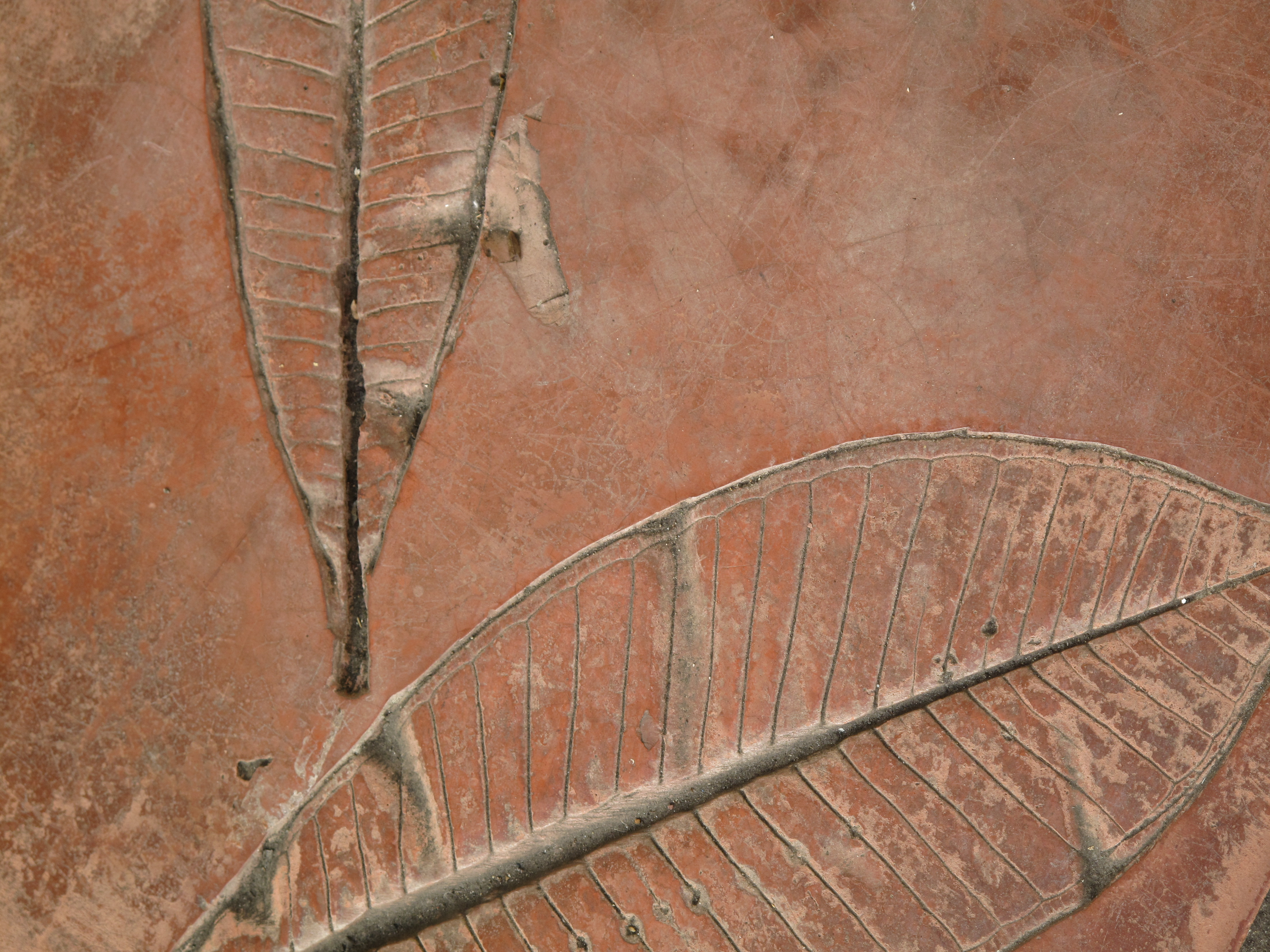 <b>3,312×4,416 / 1/100秒 / F4.5 / 0EV / ISO80 / 絞り優先AE / WB:オート / 30.5mm</b>