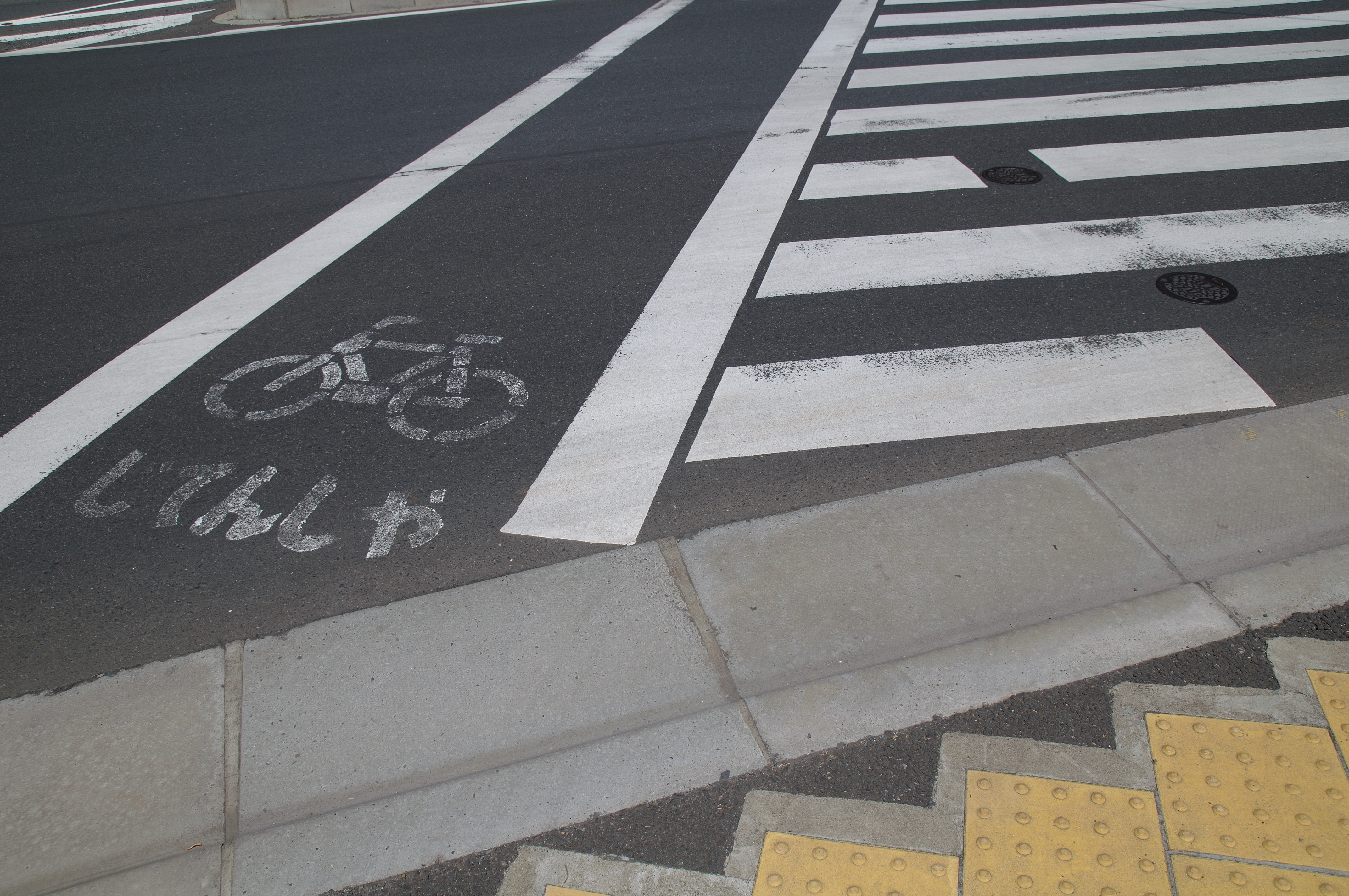 <b>同時記録のRAW画像をCapture NXで現像時、自動倍率色収差補正をオフにした状態。レンズ本来の色収差が残っている</b>