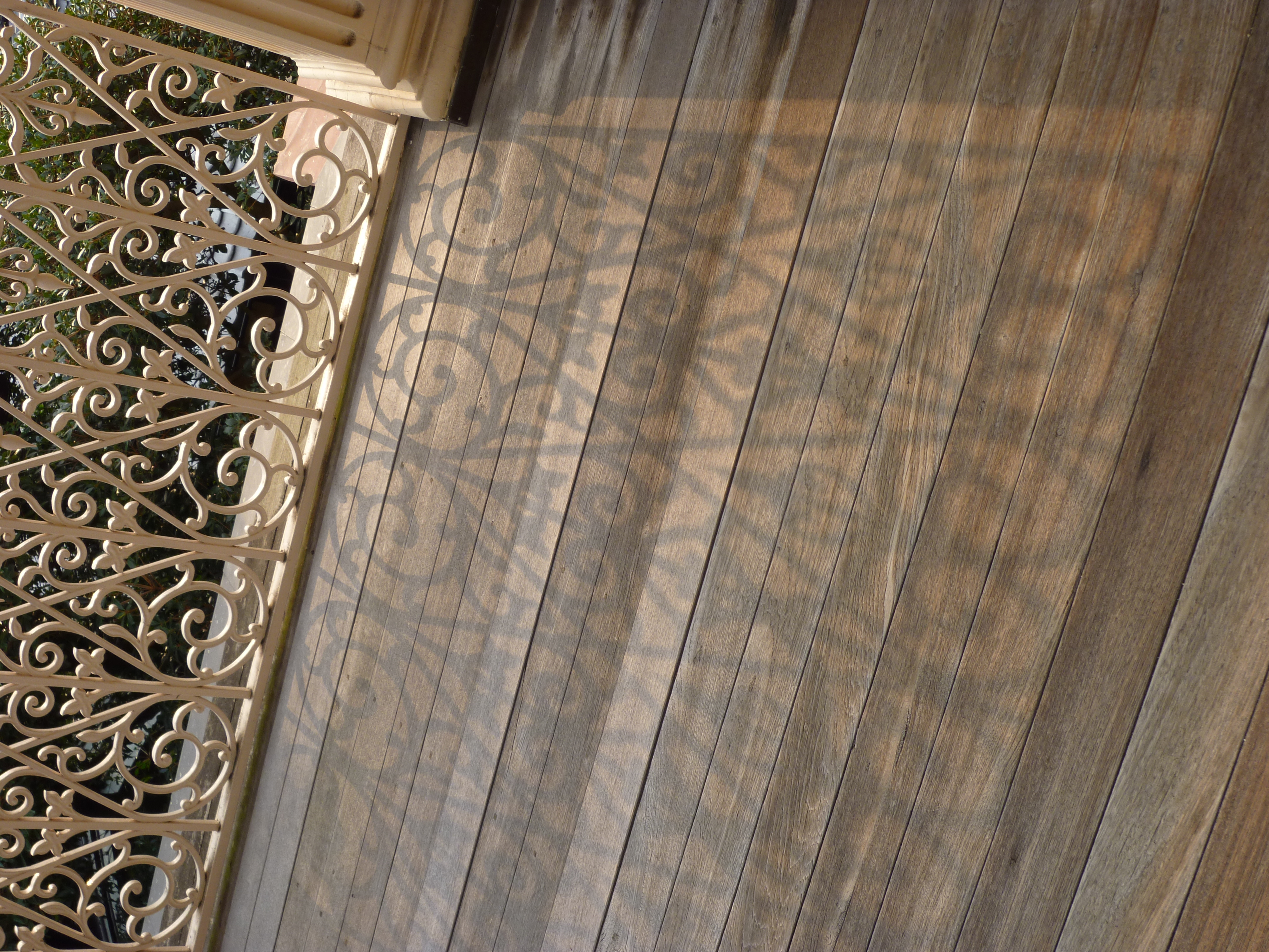 <STRONG>DMC-FX60 / 約6.7MB / 3,000×4,000 / 1/125秒 / F4 / -0.3EV / ISO80 / WB:晴天 / 7.2mm</STRONG>