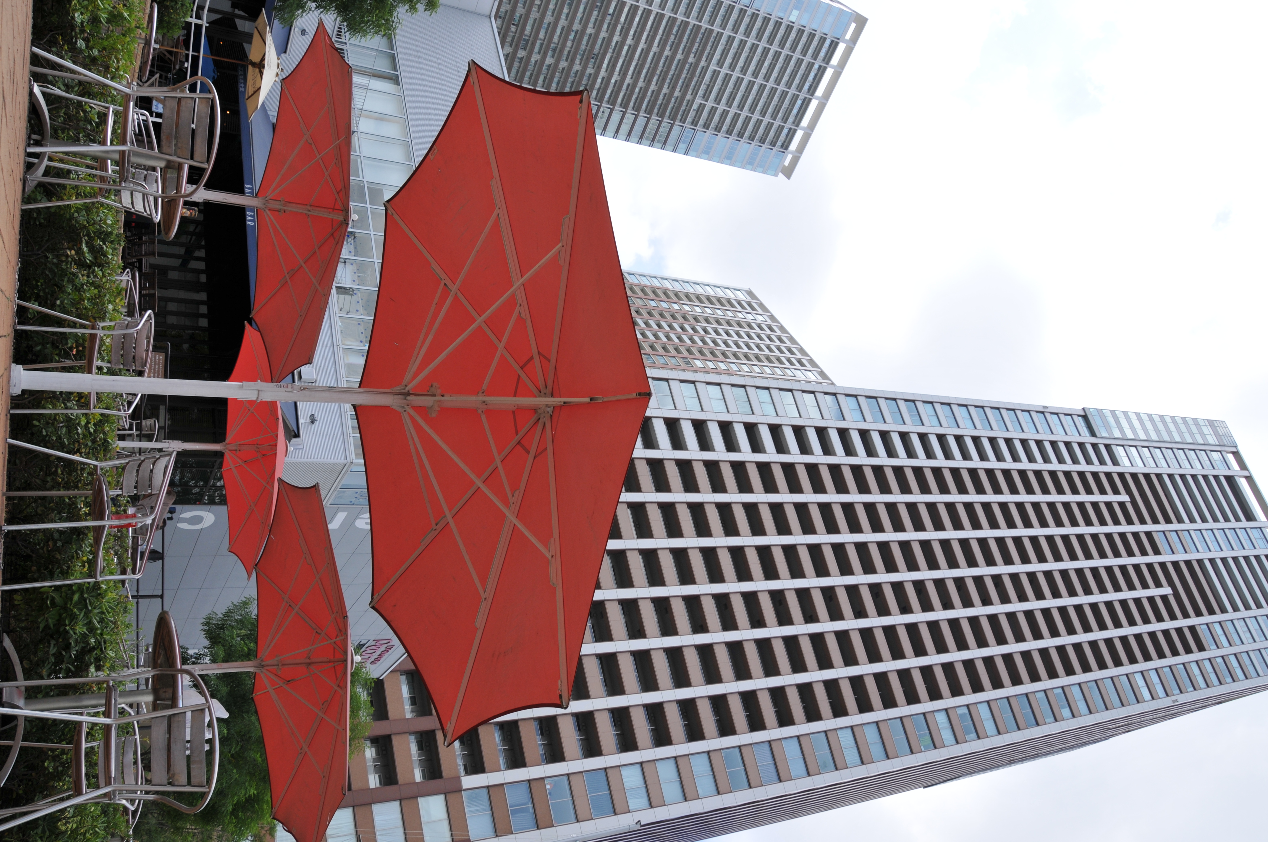 <b>D300 / AF-S DX NIKKOR 18-200mm F3.5-5.6 G ED VR II / 約4.8MB / 2,848×4,288 / 1/320秒 / F9 / +0.3EV / ISO200 / WB:晴天 / 18mm</b>