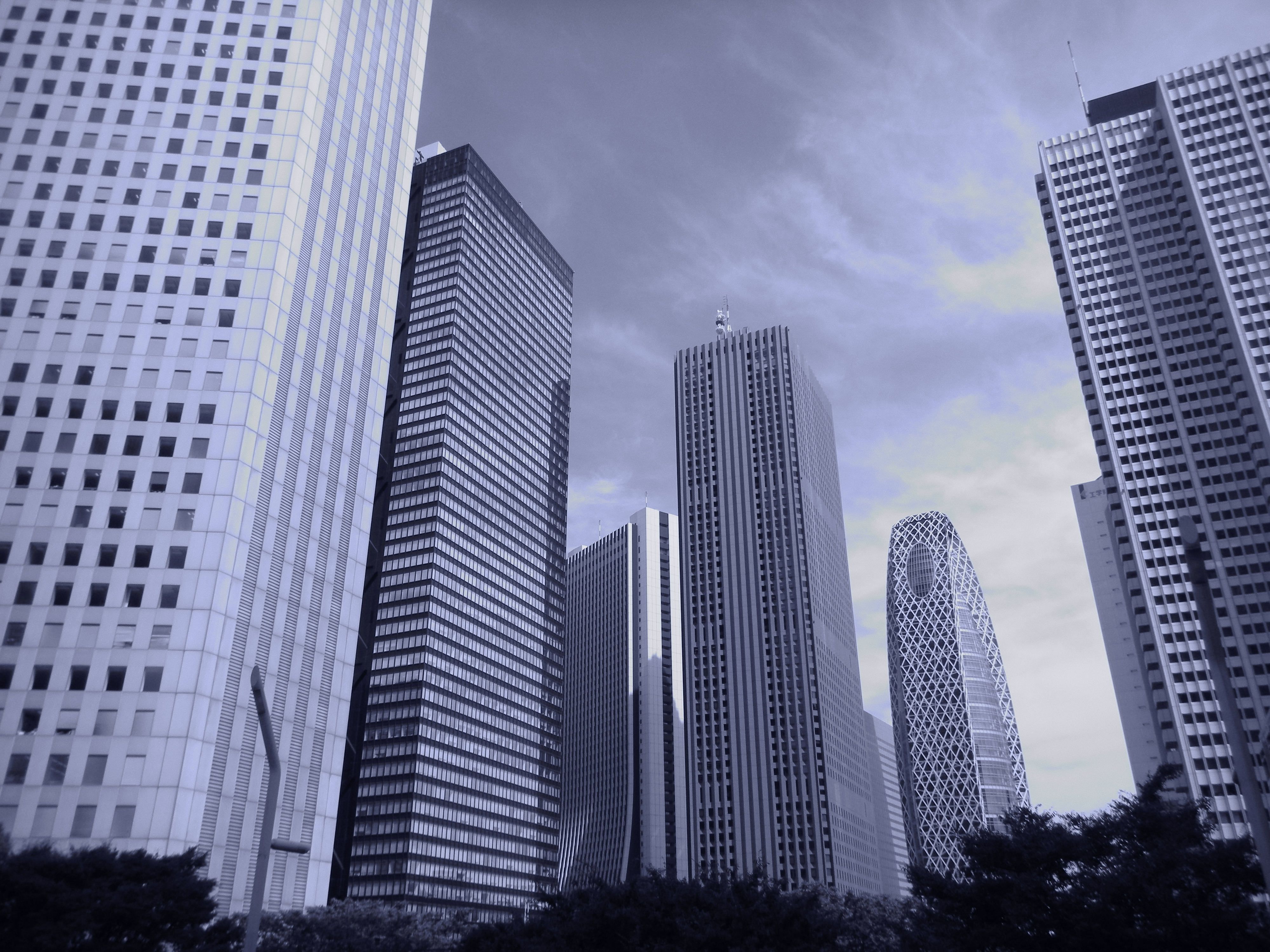 <b>ピクチャーカラー：クール<br>4,000×3,000 / 1/215秒 / F7.9 / -0.3EV / ISO80 / WB:- / 5mm（28mm相当）</b>