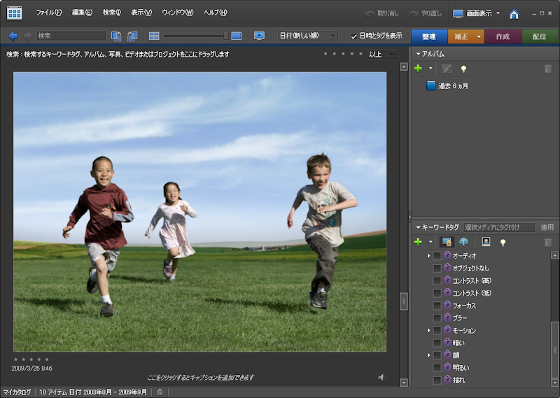 <b>写真の内容を分析し、自動的にタグ付けを行なう。画像では「顔」と「モーション」タグが付加されている</b>
