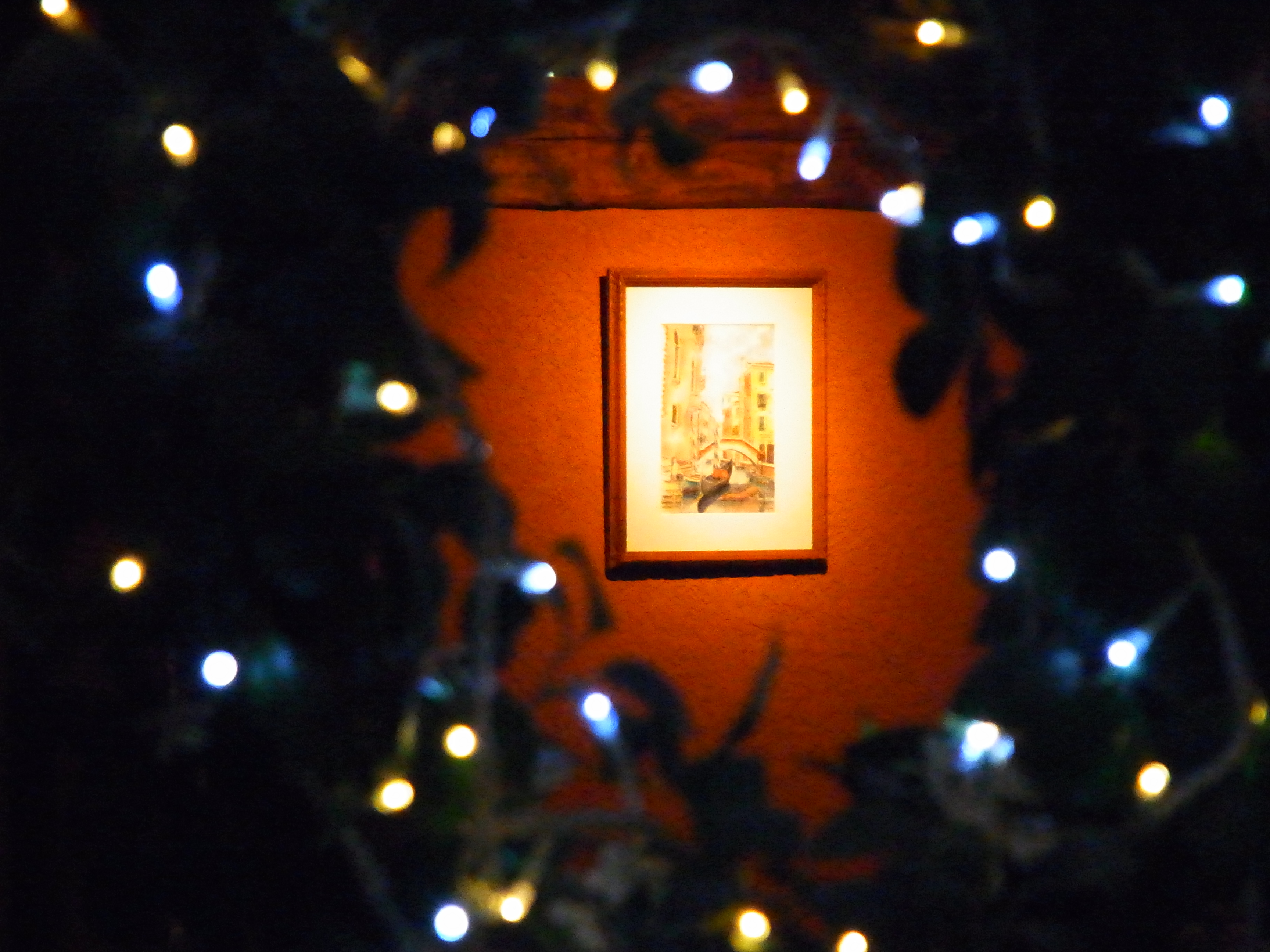 <b>3,456×2,592 / 1/153秒 / F5.2 / 0EV / ISO1600 / プログラムAE / WB:オート / 44.5mm<br>最高感度のISO1600で撮影</b>