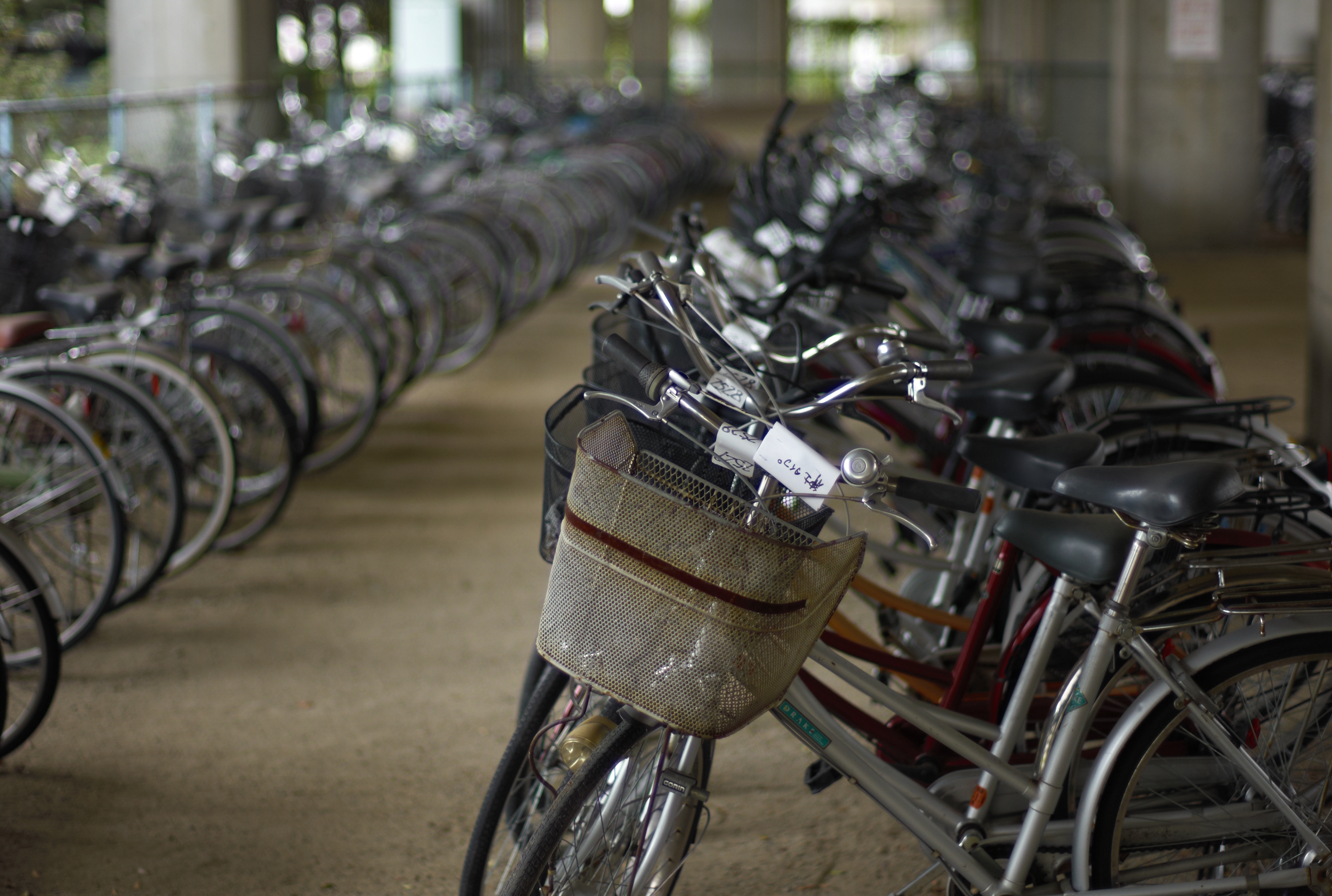 <b>M8 / NOKTON 50mm F1.1 / 約6.2MB / 3,916×2,634 / 1/500秒 / F1.1 / 0EV / ISO160 / WB:オート</b>