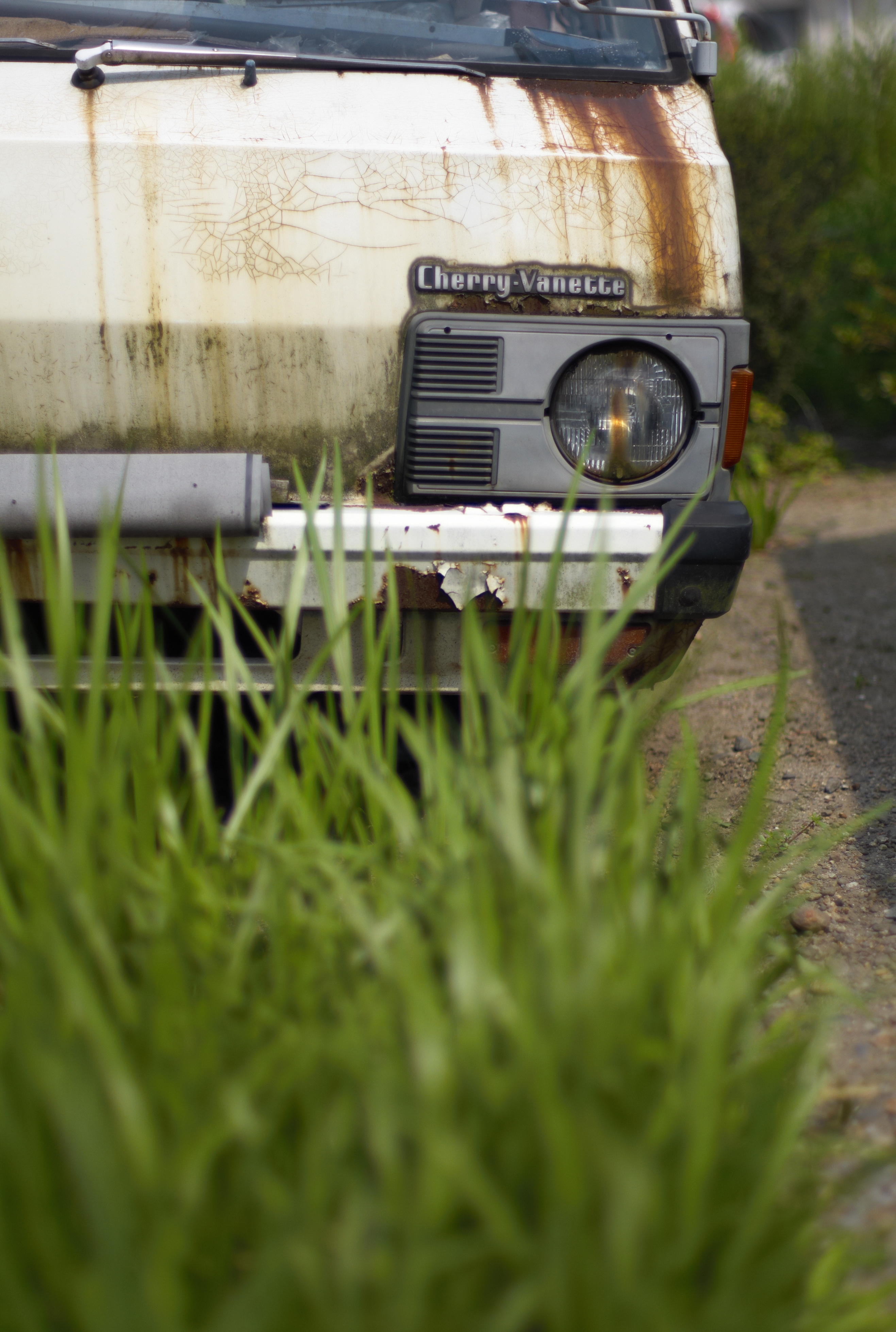 <b>M8 / NOKTON 50mm F1.1 / 約6.1MB / 2,634×3,916 / 1/8,000秒 / F1.1 / 0EV / ISO160 / WB:オート</b>