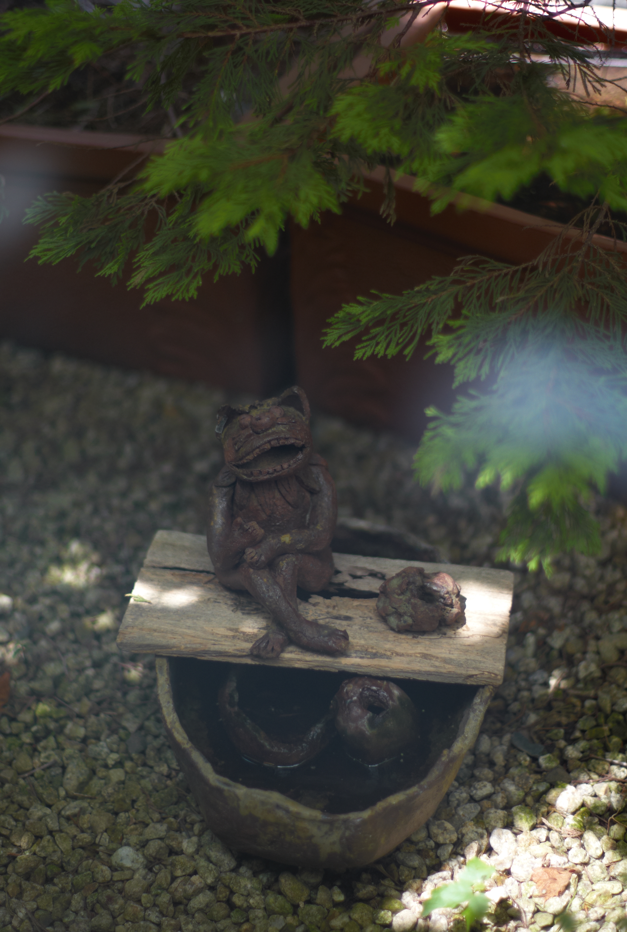 <b>M8 / NOKTON 50mm F1.1 / 約5.9MB / 2,634×3,916 / 1/750秒 / F1.1 / 0EV / ISO160 / WB:オート</b>