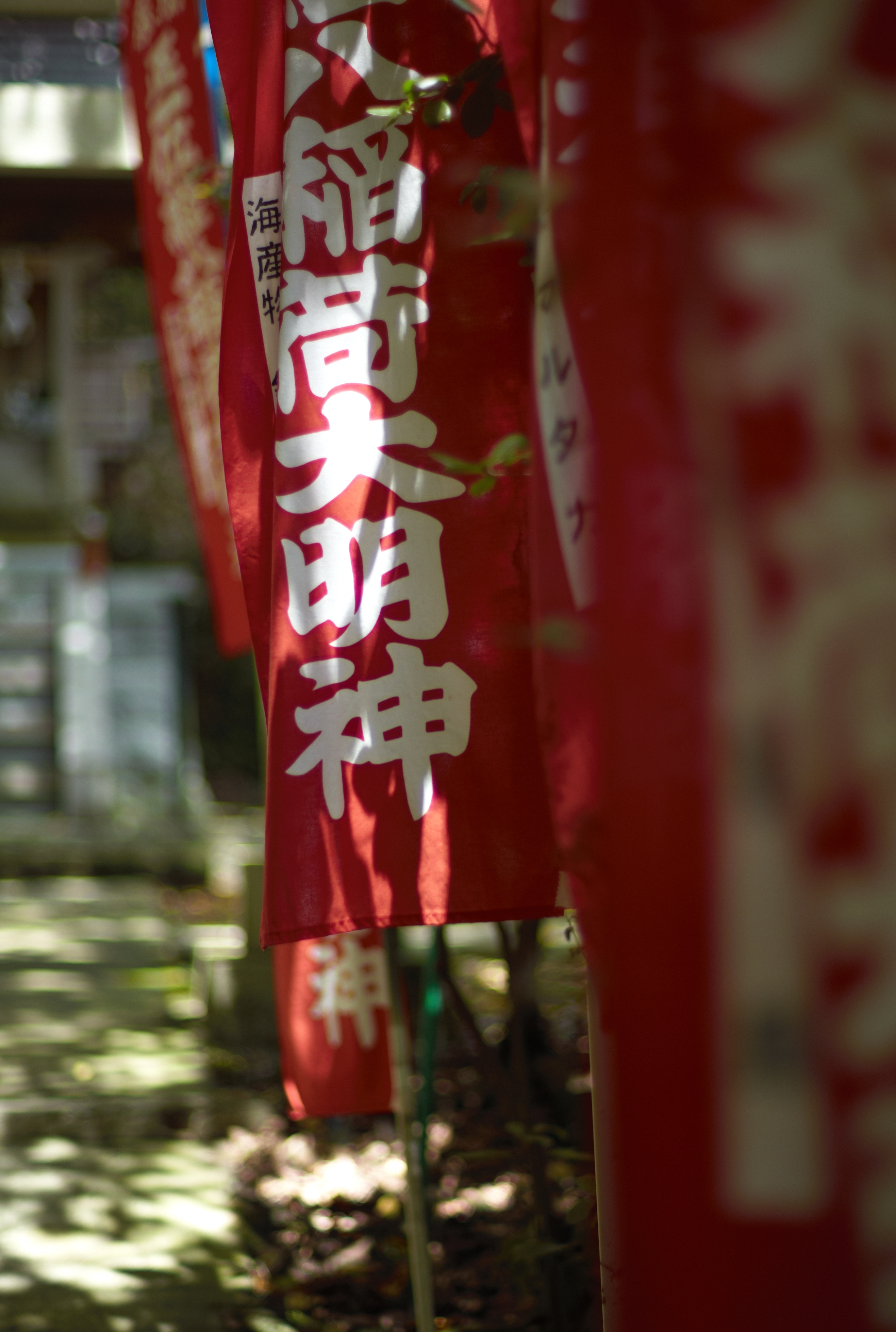 <b>M8 / NOKTON 50mm F1.1 / 約5.4MB / 2,634×3,916 / 1/1,000秒 / F1.1 / 0EV / ISO160 / WB:オート</b>